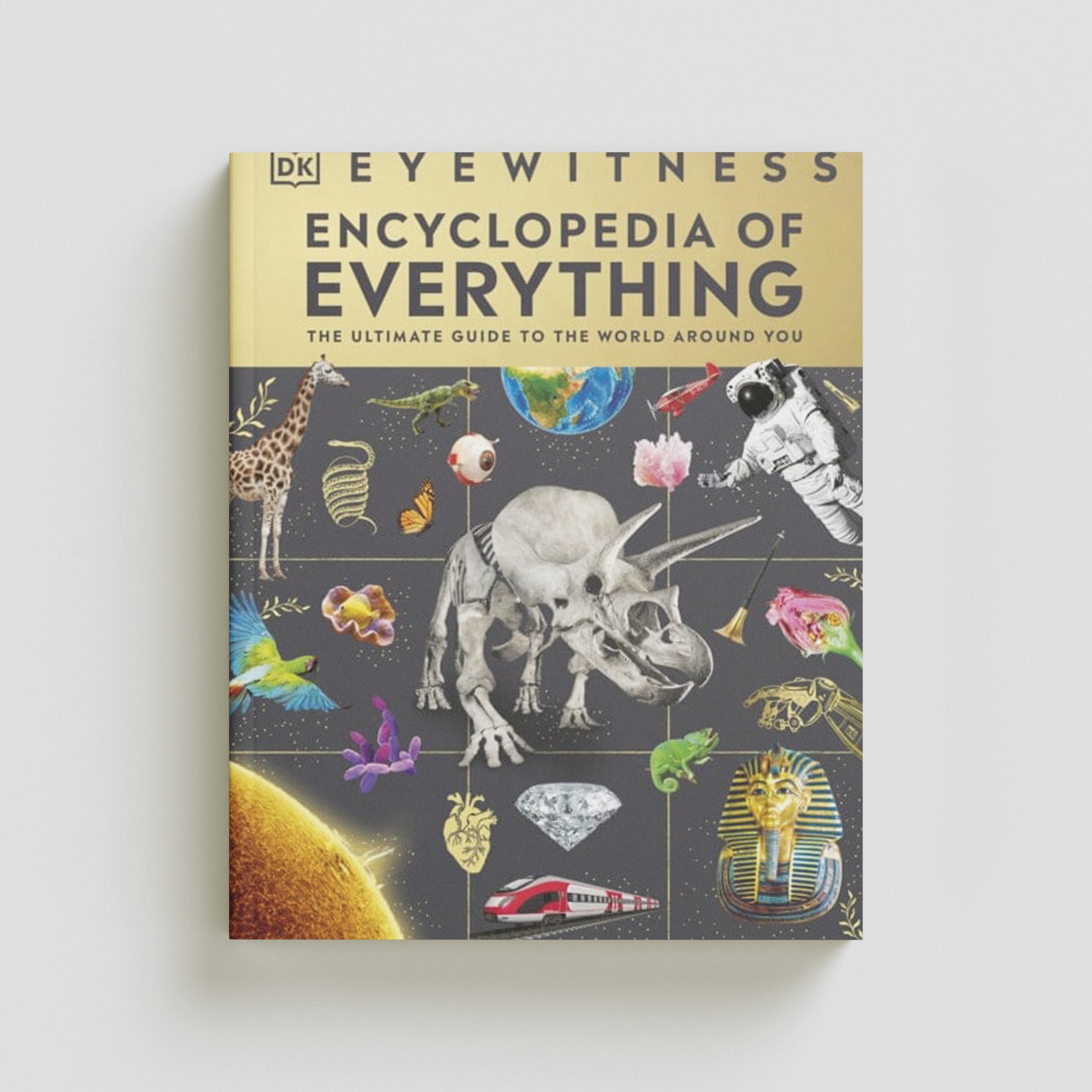 Eyewitness Encyclopedia of Everything by DK; 9780241595749