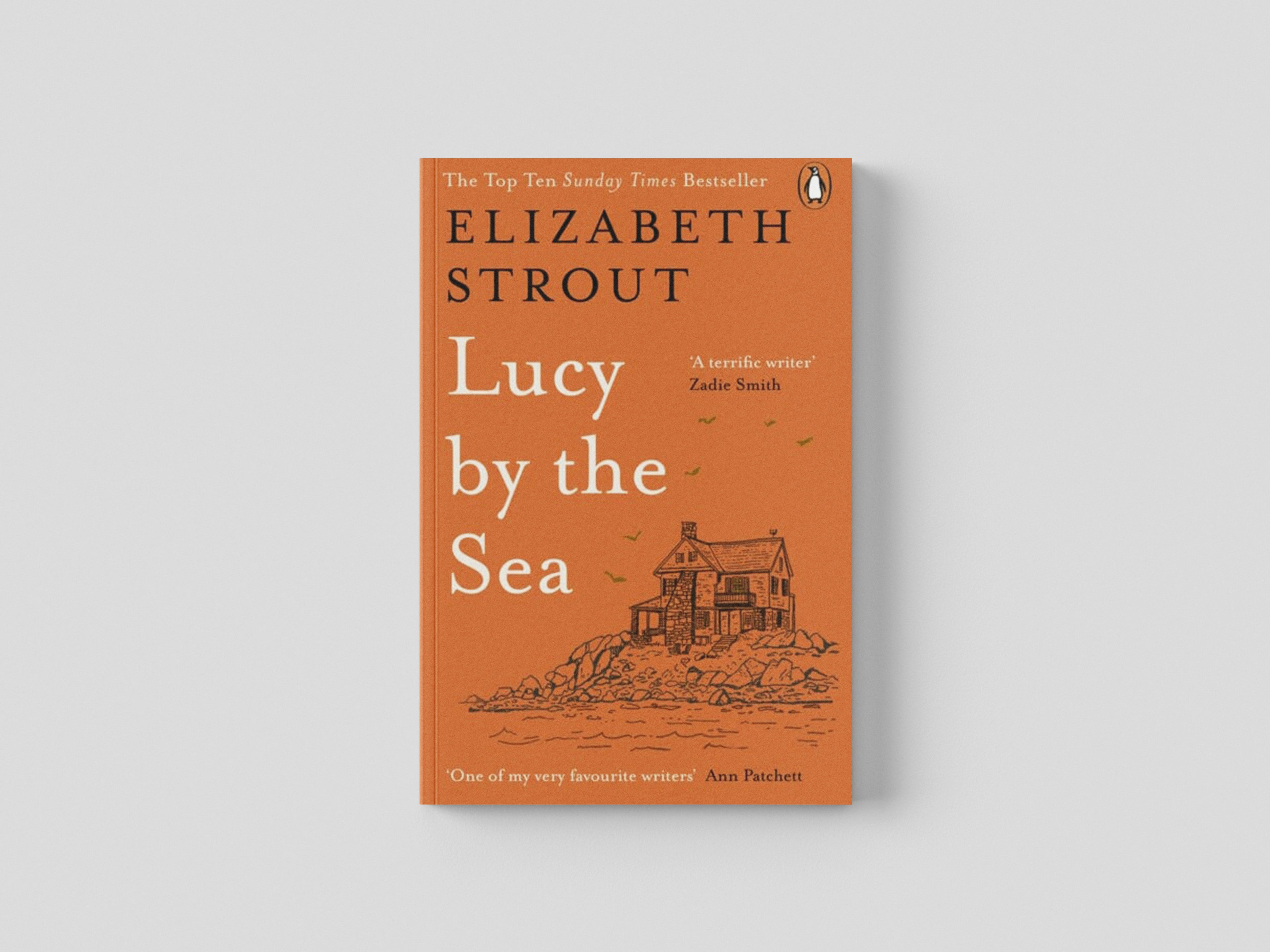 Lucy by the Sea Paperback / softback