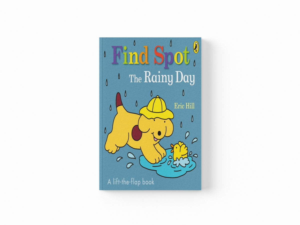 Find Spot: The Rainy Day