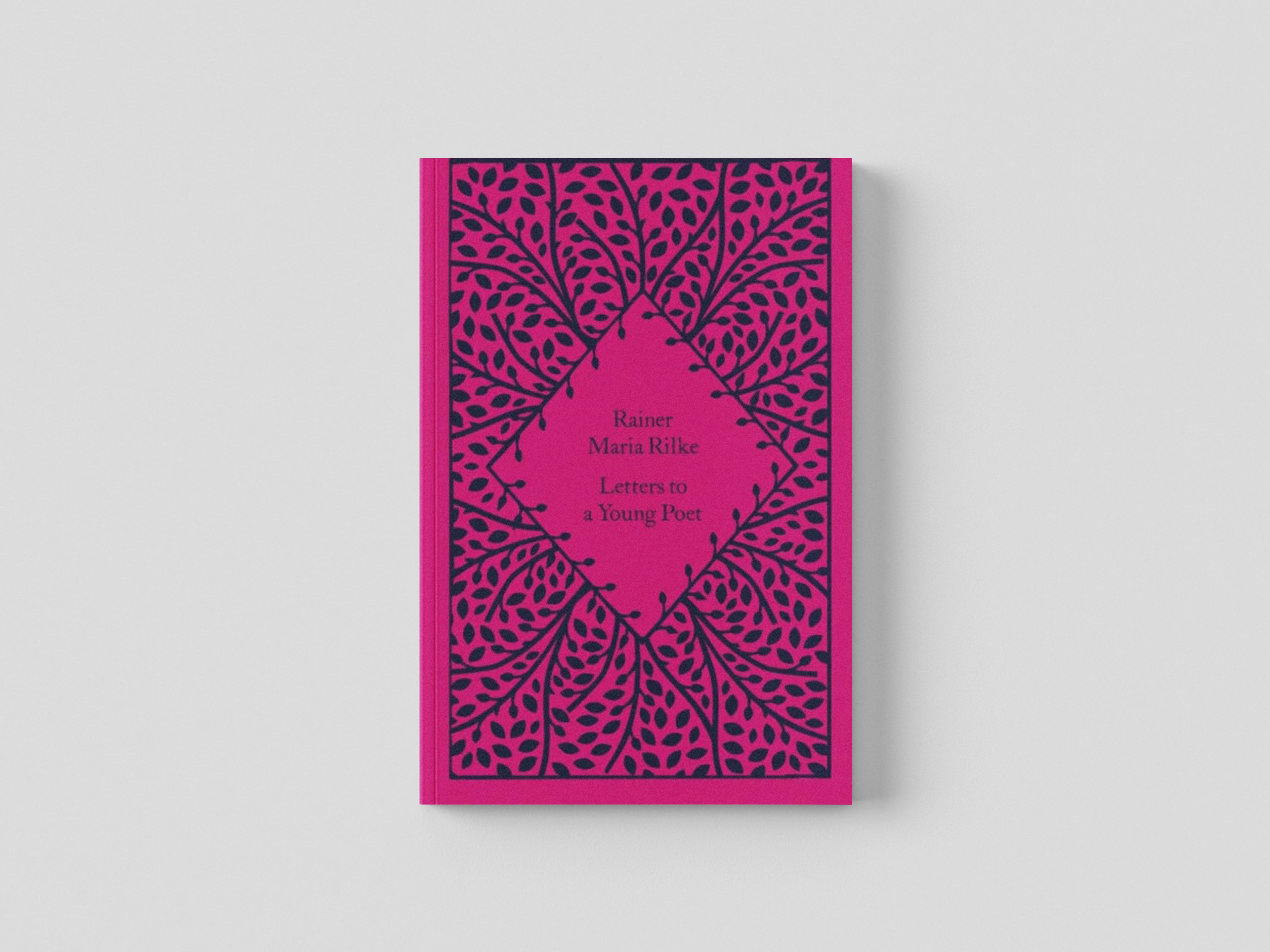 Letters to a Young Poet Hardback