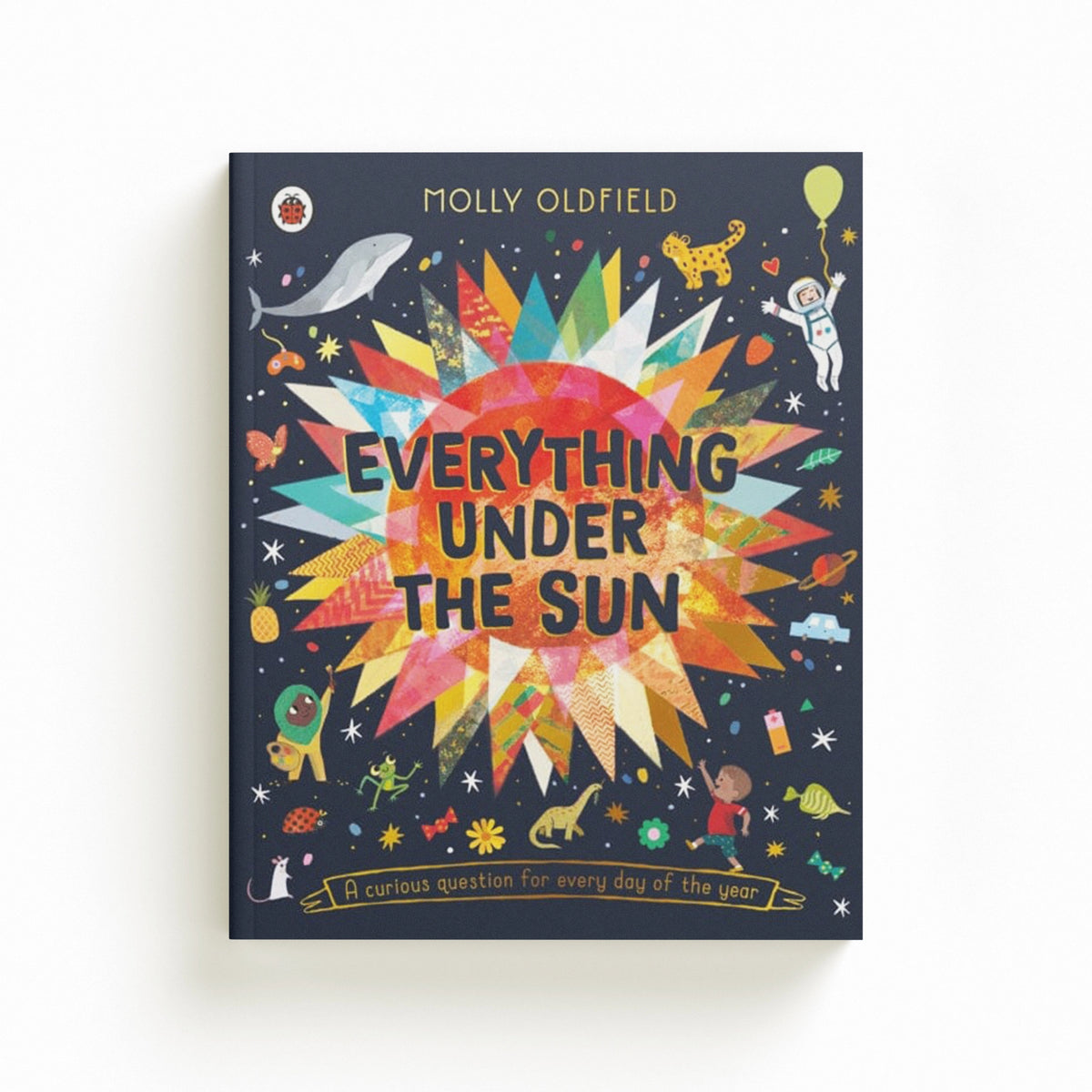 Everything Under the Sun