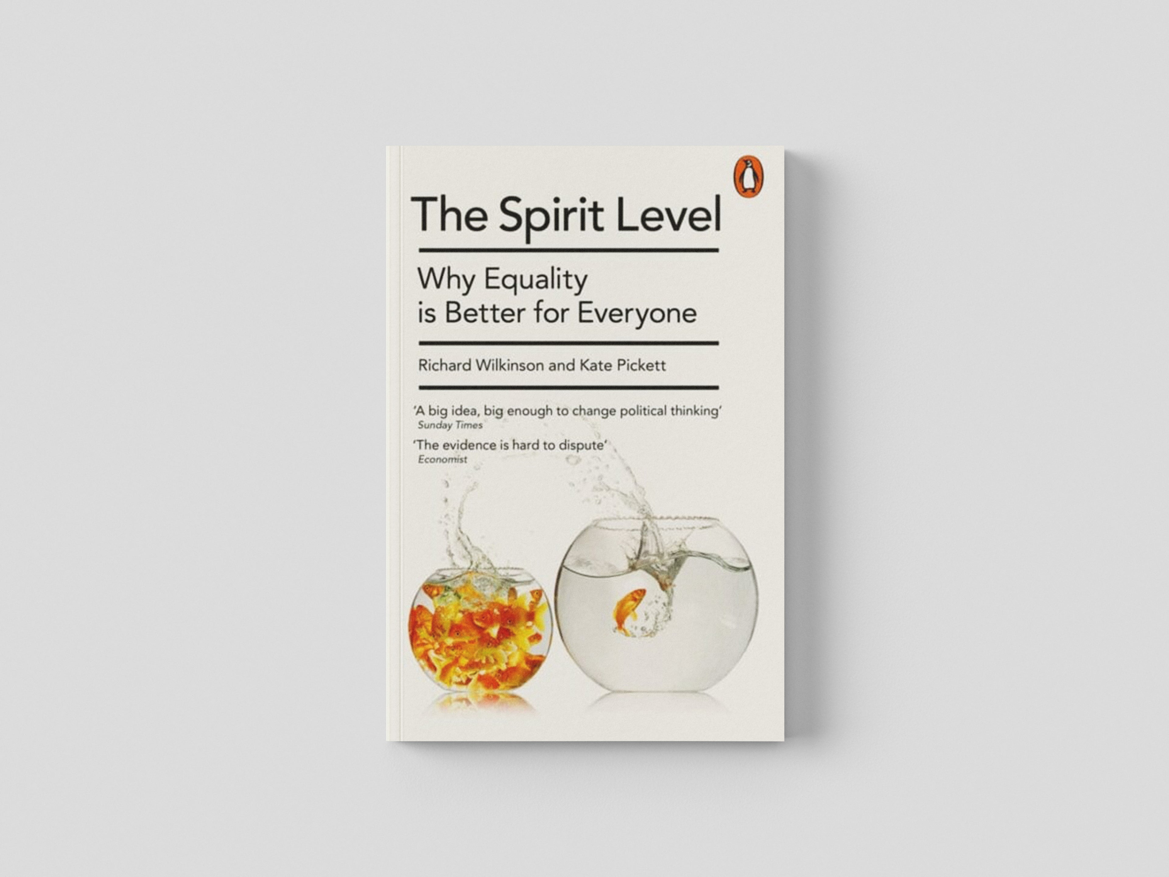 The Spirit Level by Kate Pickett; 9780241954294