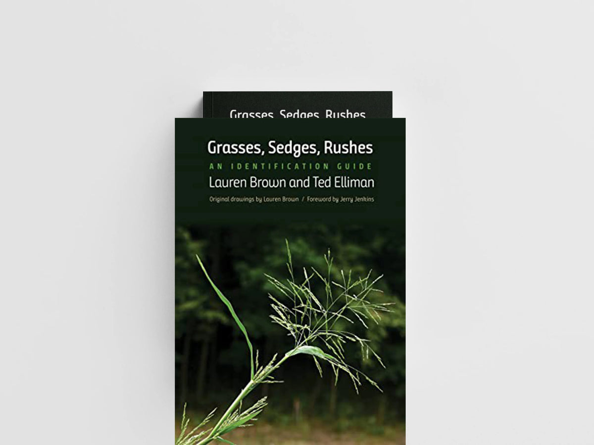Grasses, Sedges, Rushes by Lauren Brown; Ted Elliman; 9780300236774