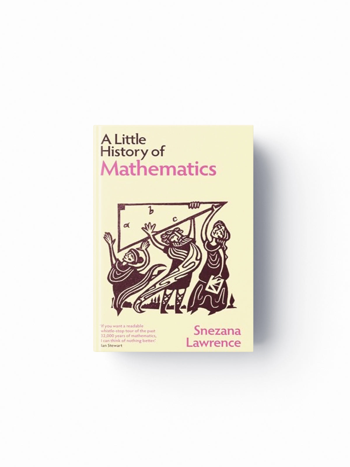 A Little History of Mathematics by Snezana Lawrence; 9780300273731
