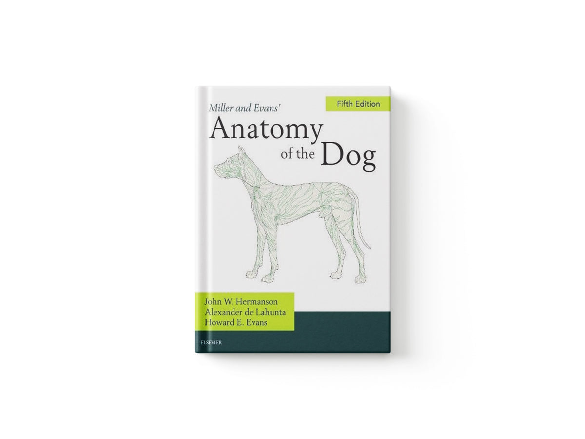 Miller's Anatomy of the Dog by Alexander de Lahunta; John W. Hermanson; 9780323676687