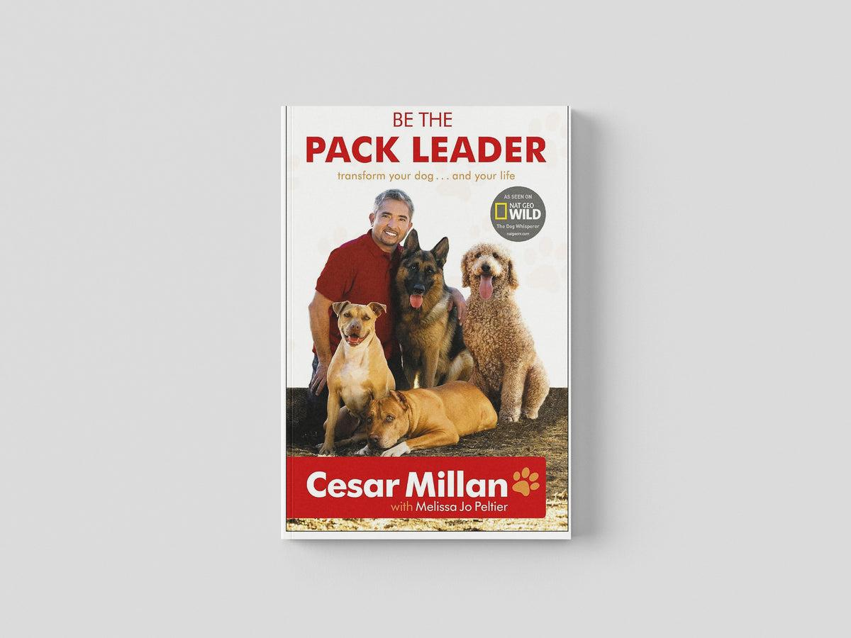 Be the Pack Leader by Hodder; 9780340976456
