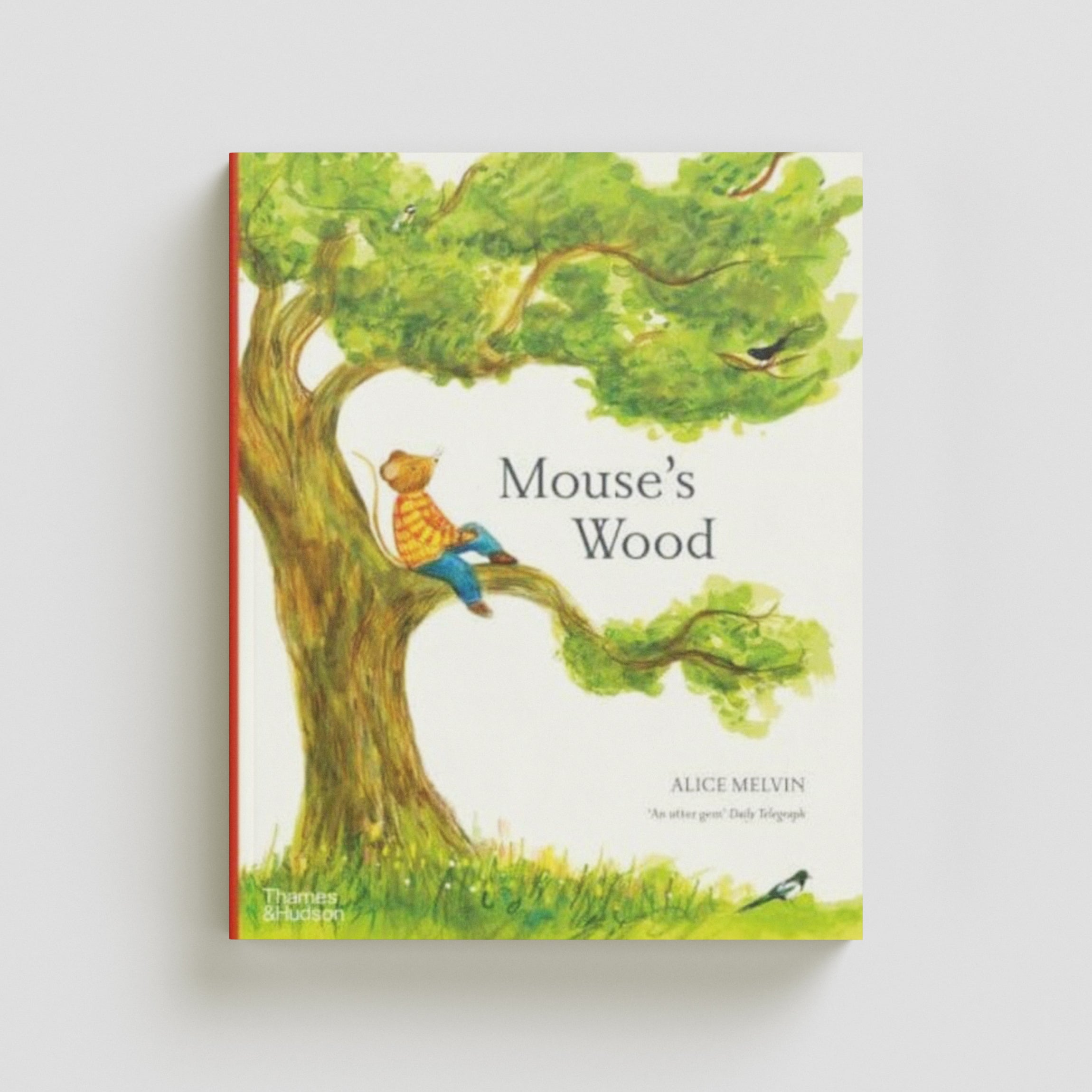 Mouse's Wood : A Year in Nature by Alice Melvin; 9780500660171