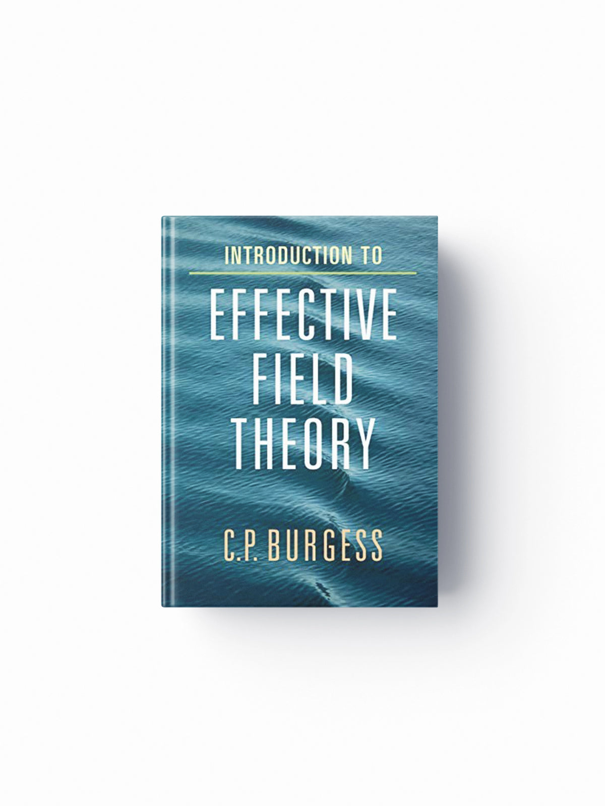 Introduction to Effective Field Theory by C. P. Burgess; 9780521195478