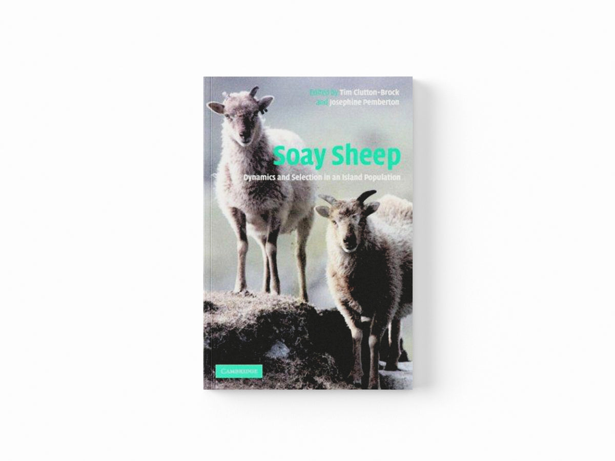 Soay Sheep; 9780521529907