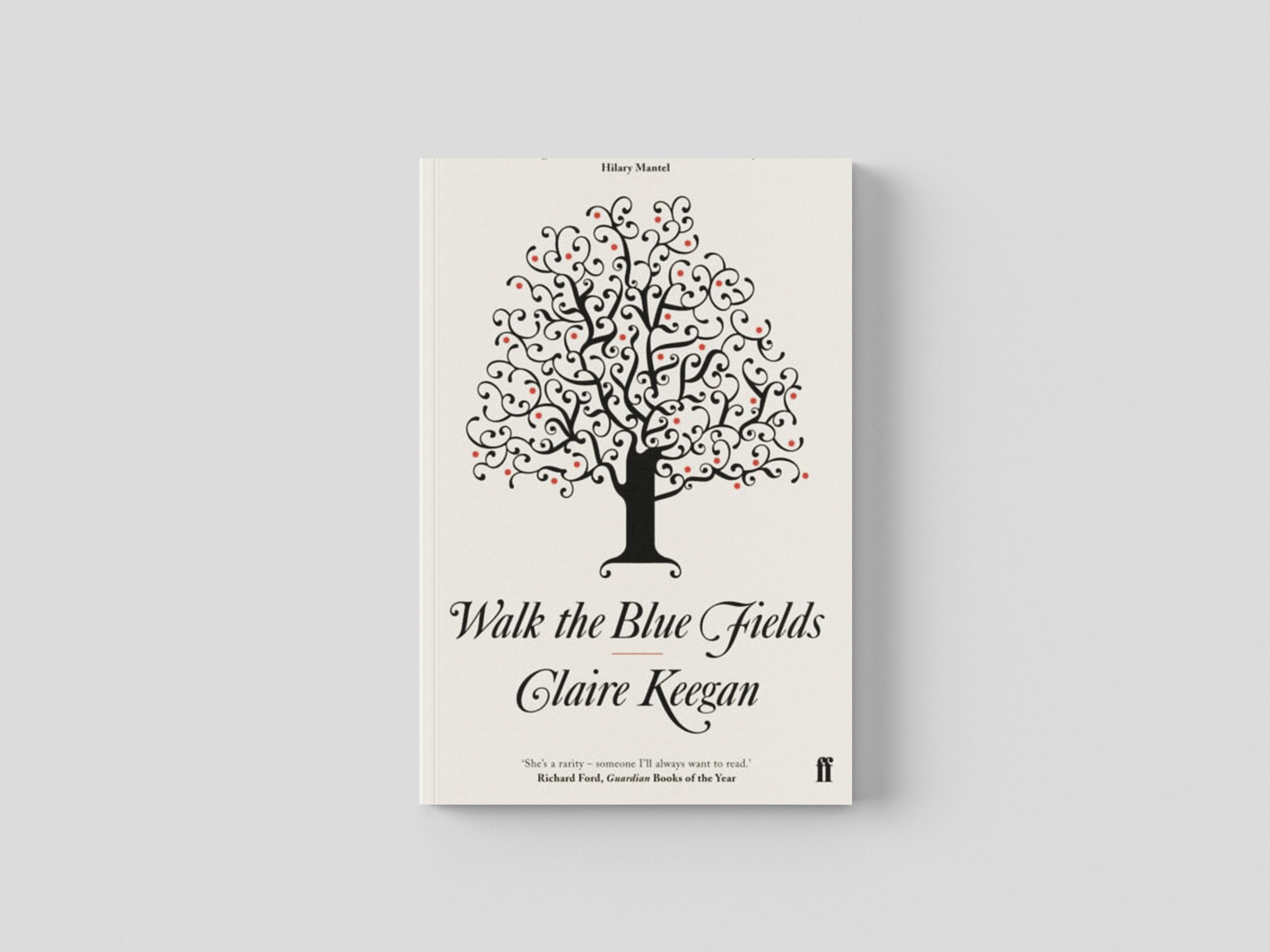 Walk the Blue Fields by Faber & Faber; 9780571233076