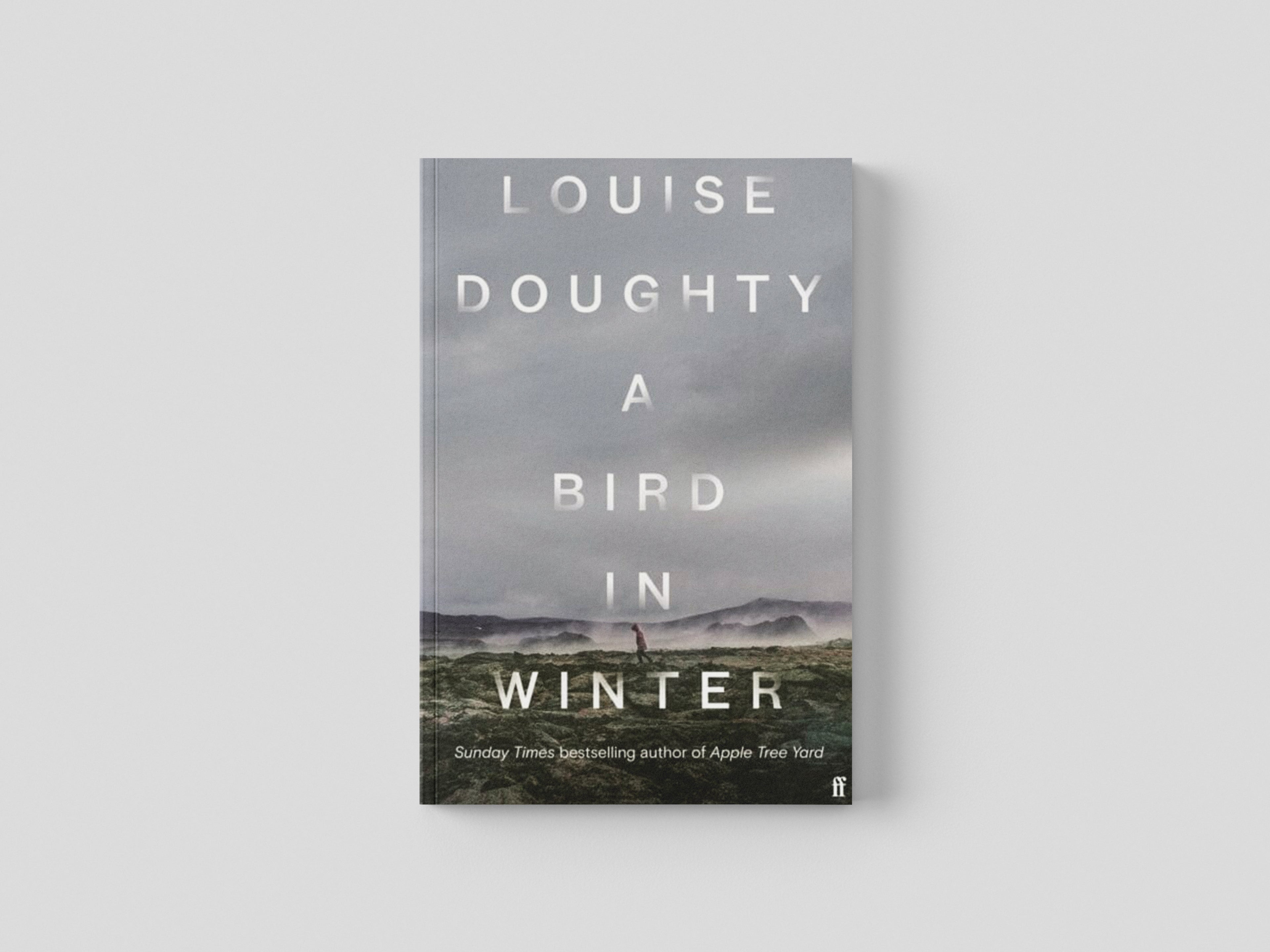 A Bird in Winter by Louise Doughty; 9780571322176