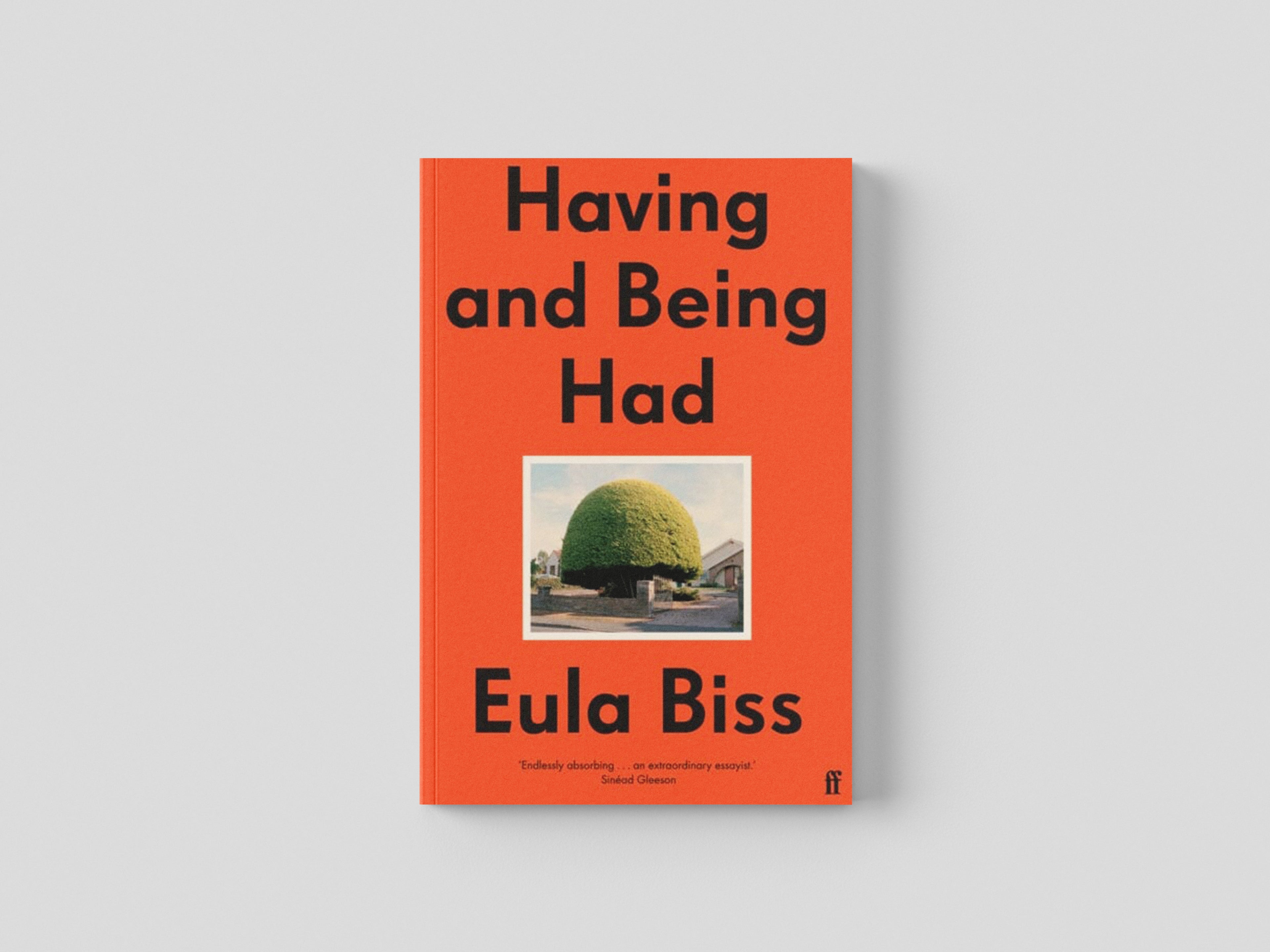Having and Being Had by Eula Biss; 9780571346431