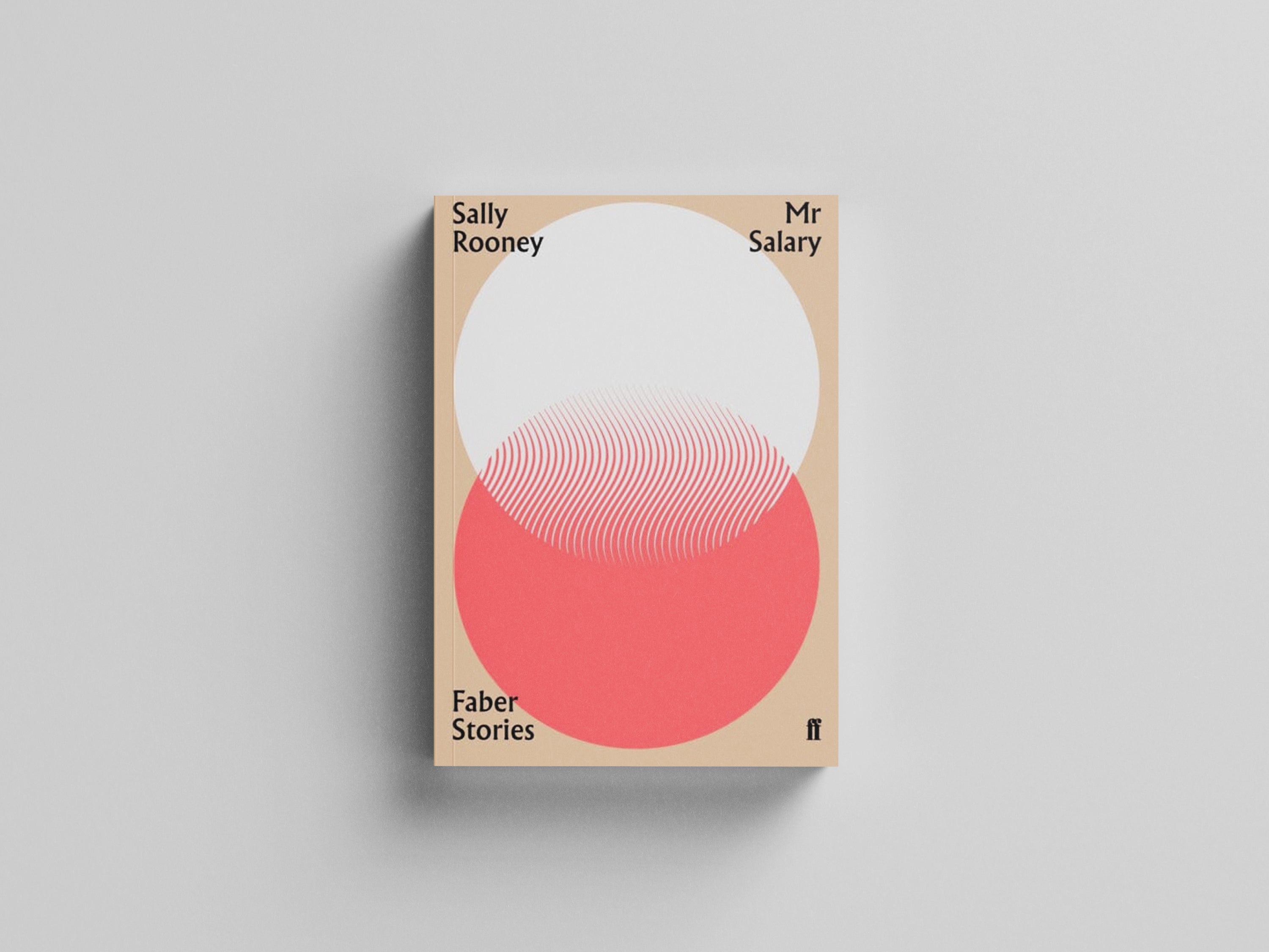 Mr Salary by Sally Rooney; 9780571351954