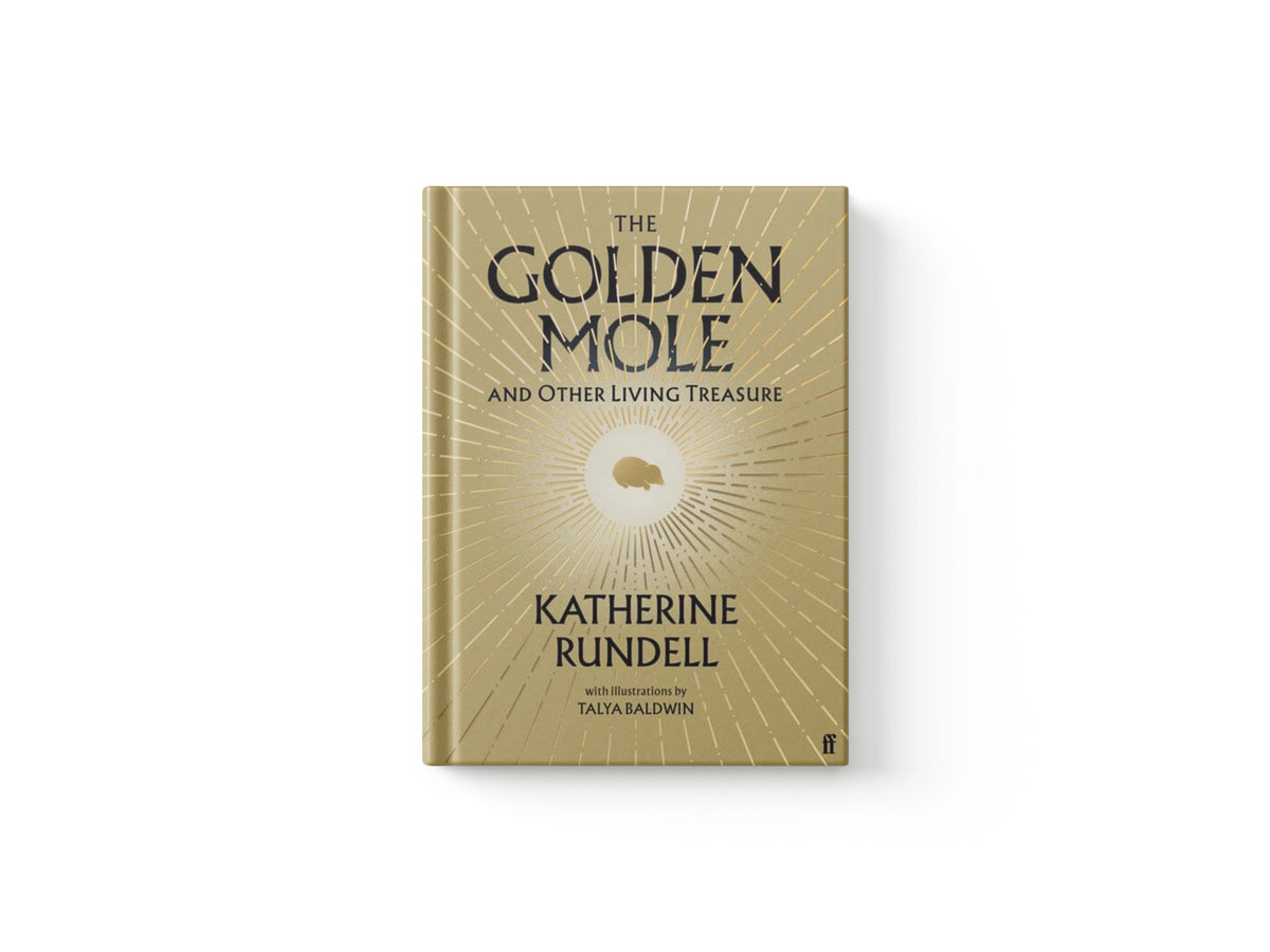 The Golden Mole