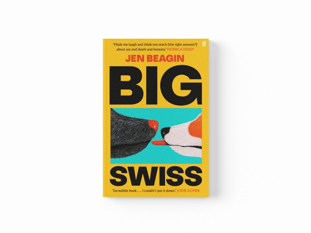Big Swiss Paperback / softback
