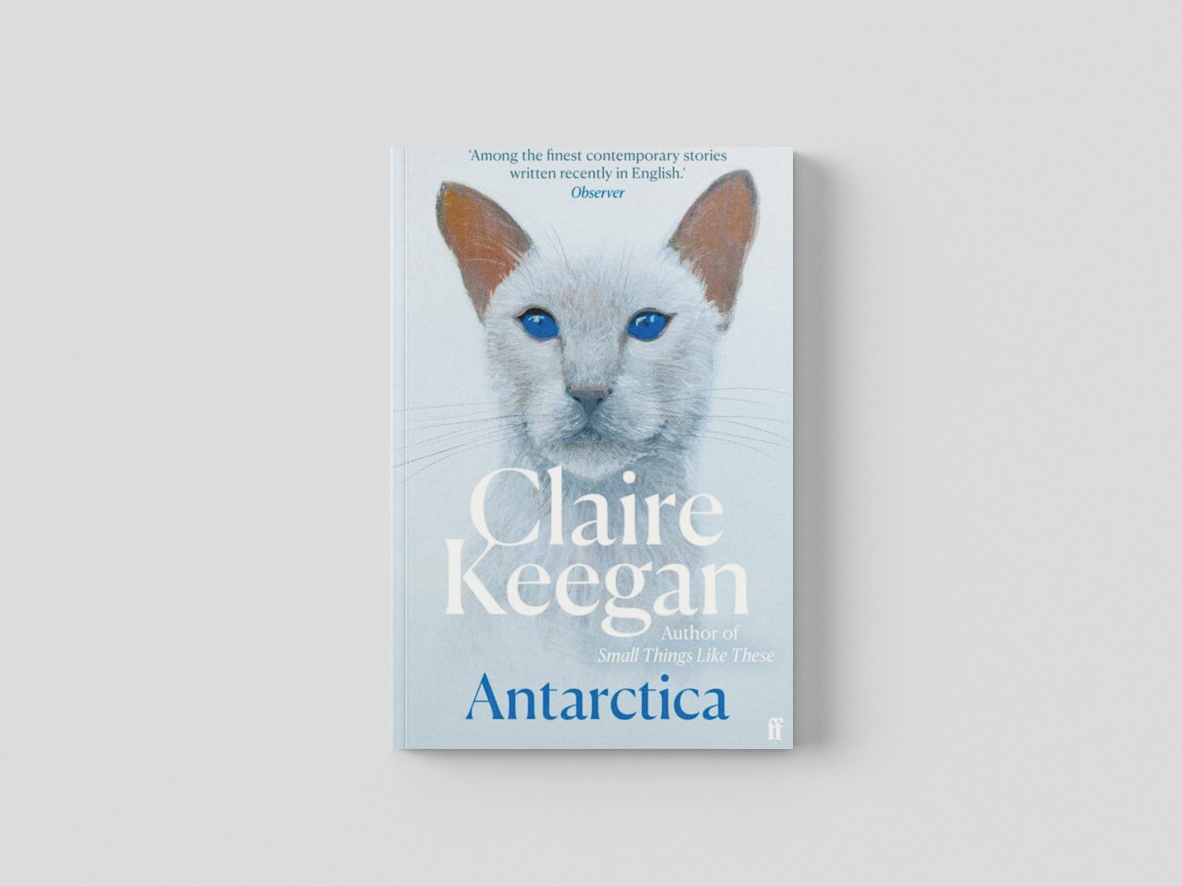 Antarctica Paperback / softback