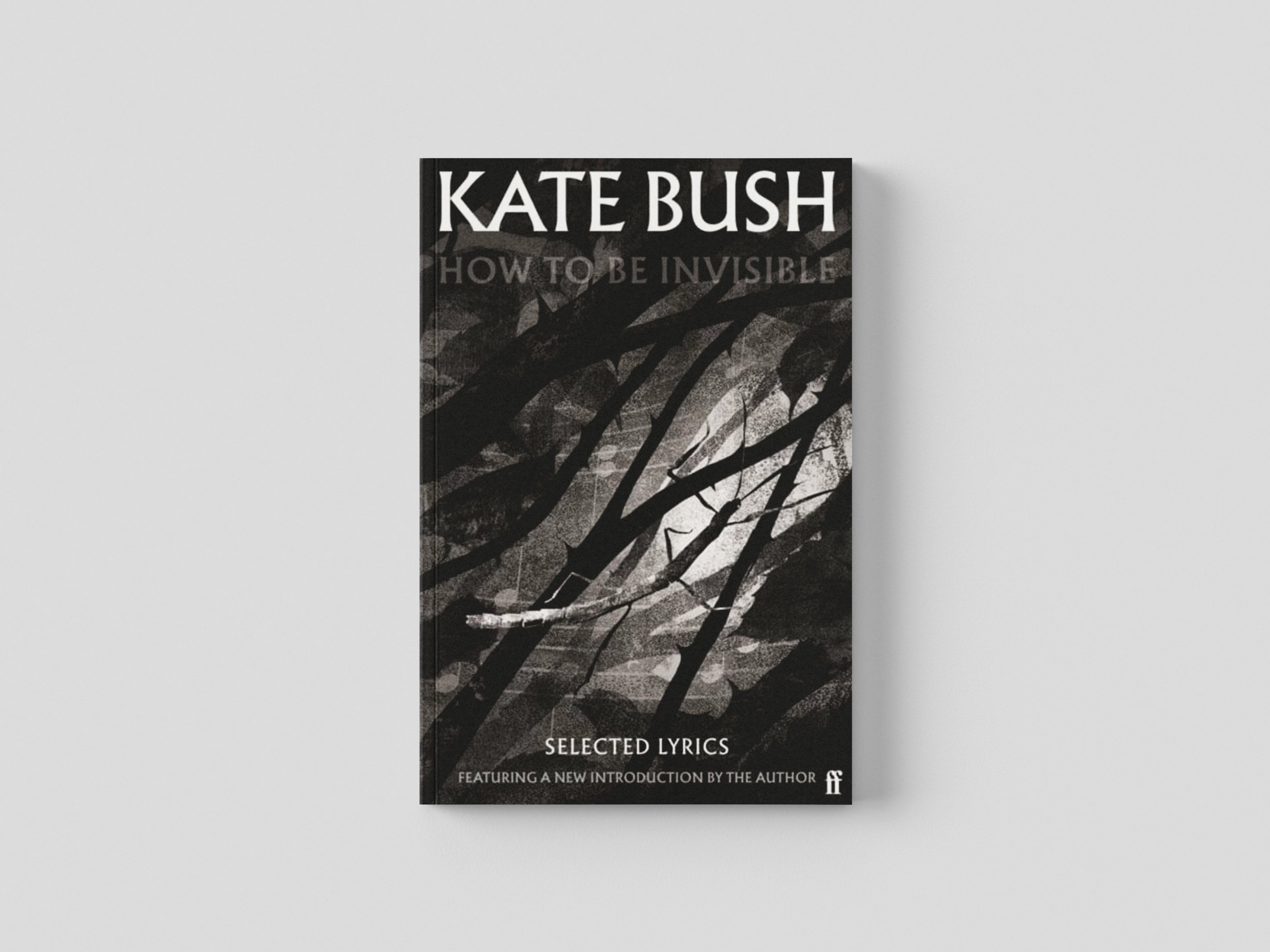 How To Be Invisible by Kate Bush; 9780571383023