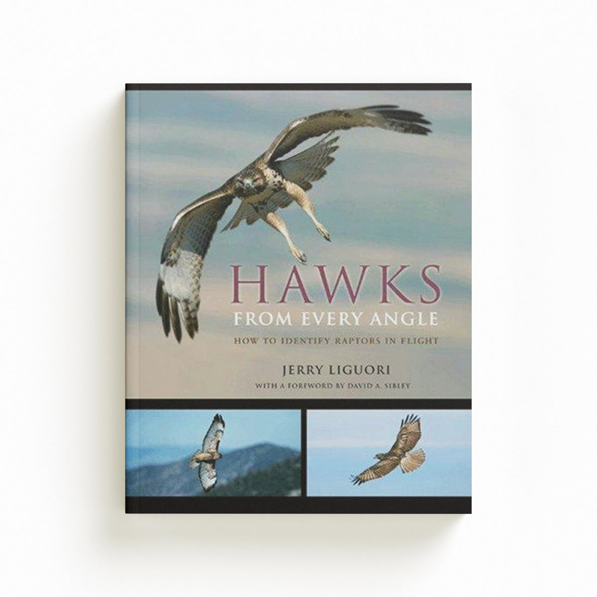 Hawks from Every Angle by Jerry Liguori; 9780691118253