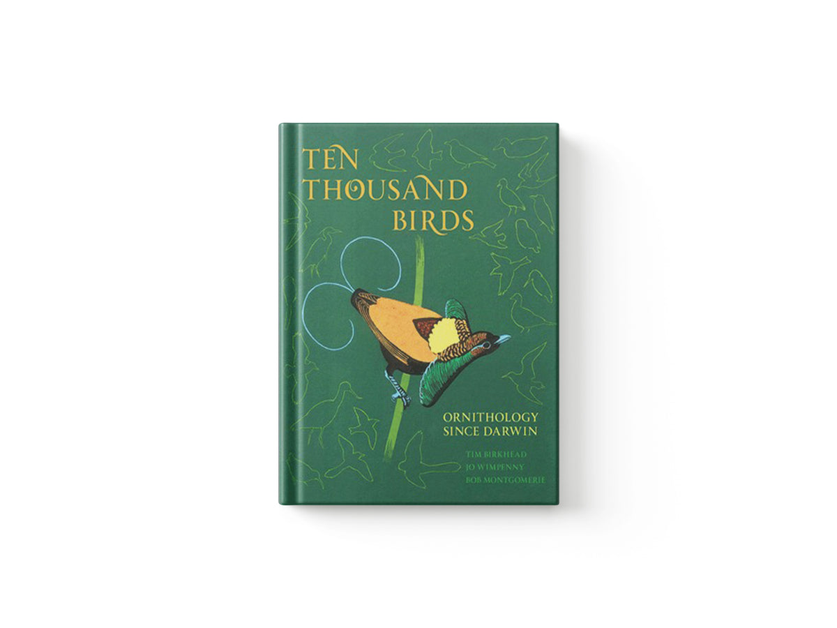 Ten Thousand Birds by Bob Montgomerie; Tim Birkhead; Jo Wimpenny; 9780691151977