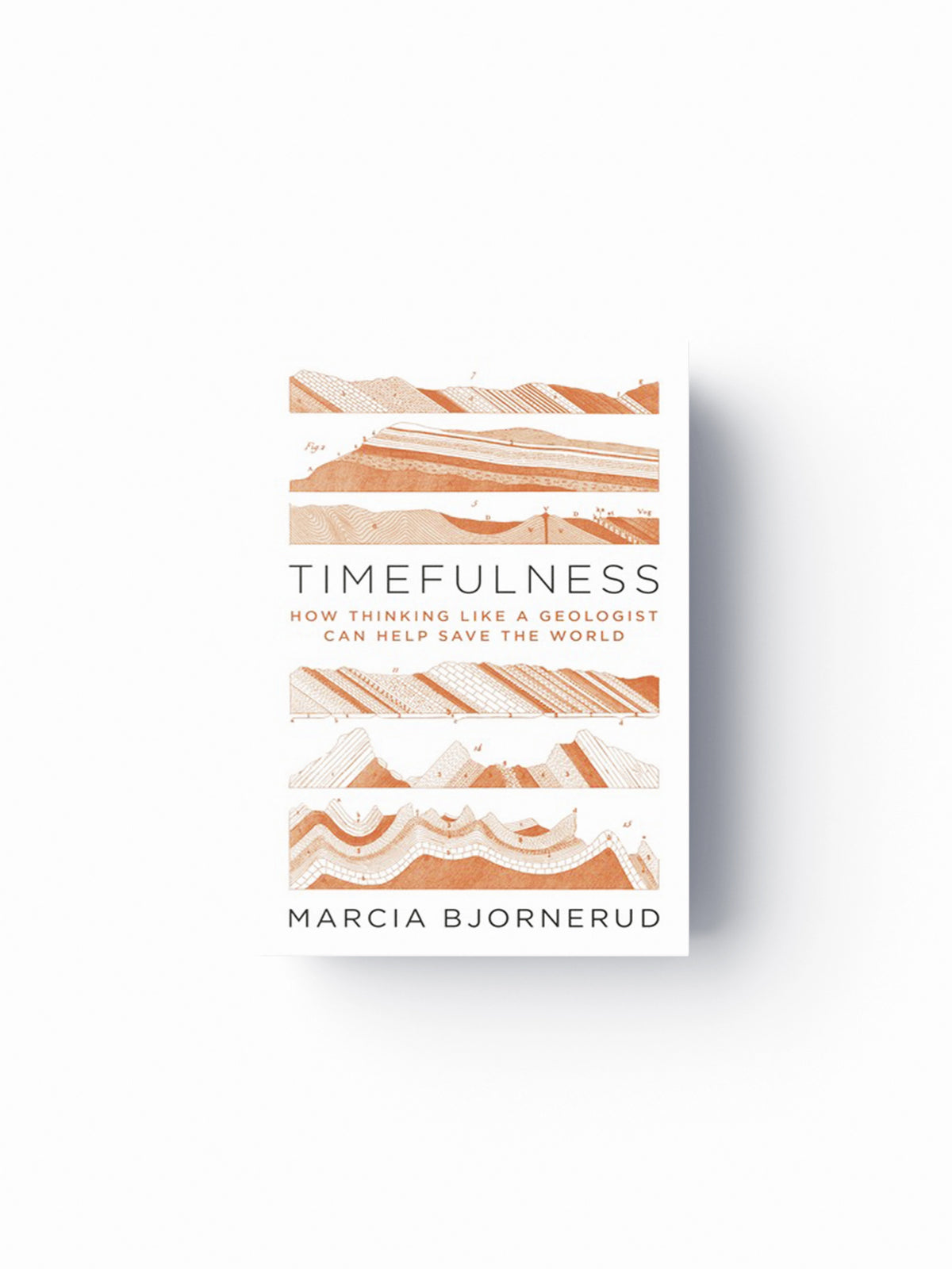 Timefulness by Marcia Bjornerud; 9780691181202
