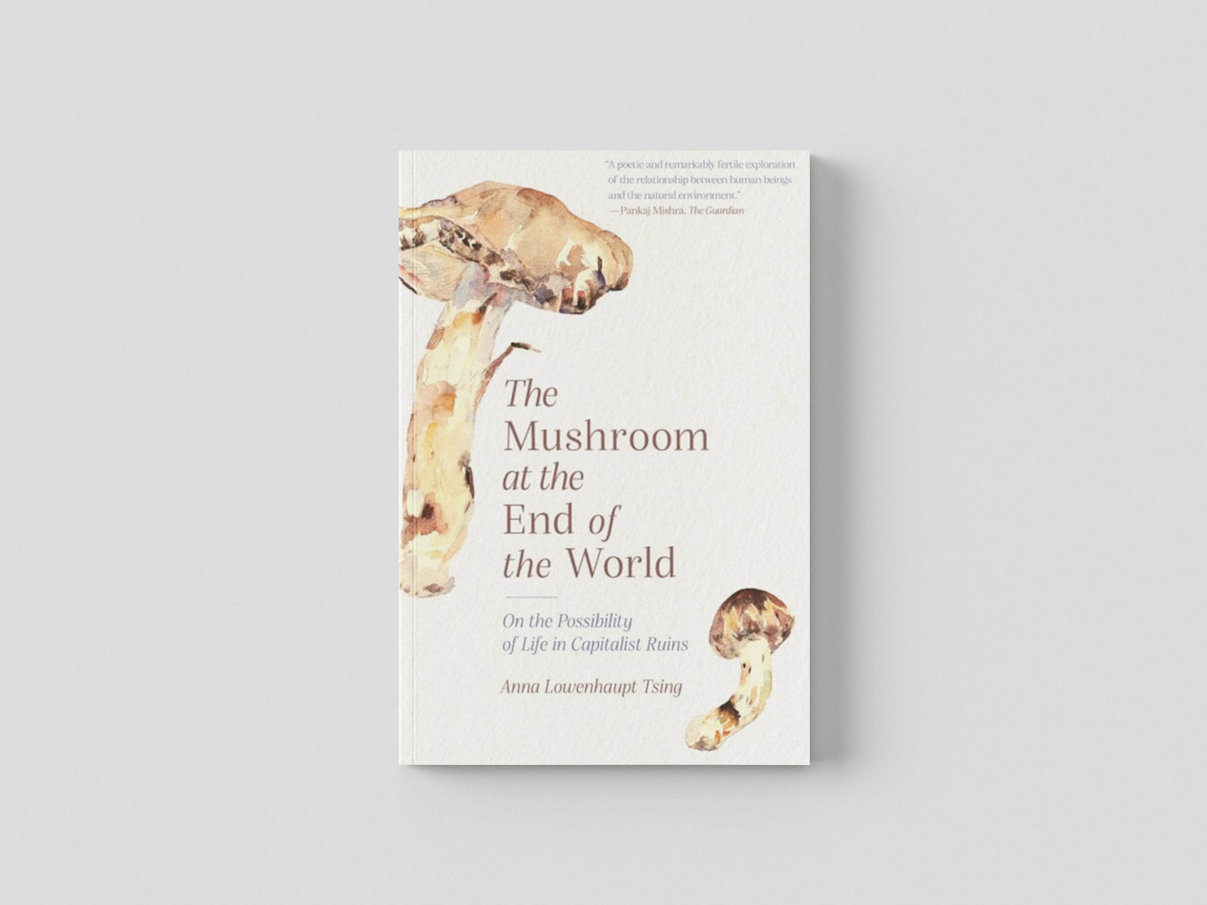 The Mushroom at the End of the World: On the Possibility of Life in Capitalist Ruins by Anna Lowenhaupt Tsing; 9780691220550