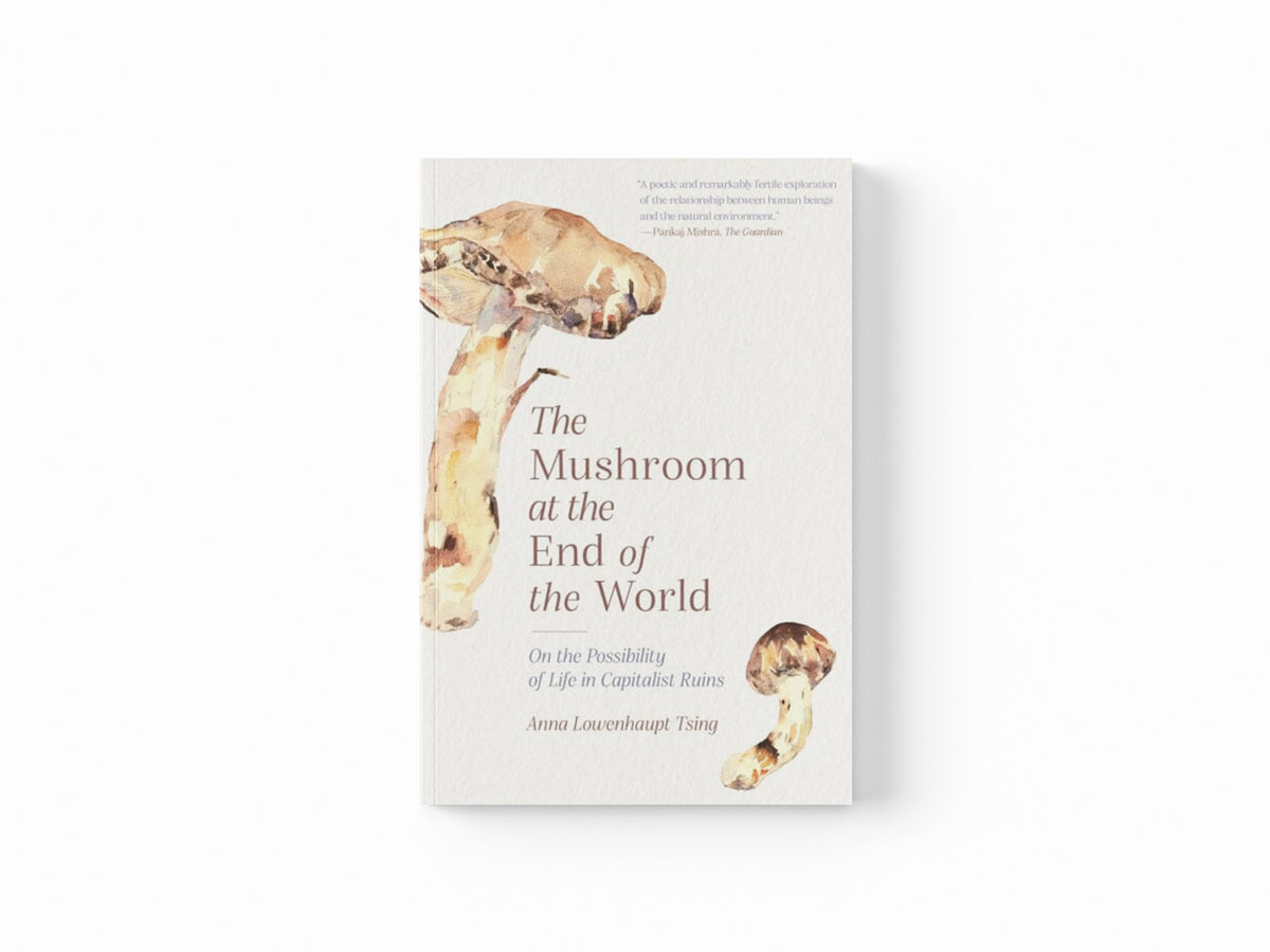 The Mushroom at the End of the World: On the Possibility of Life in Capitalist Ruins