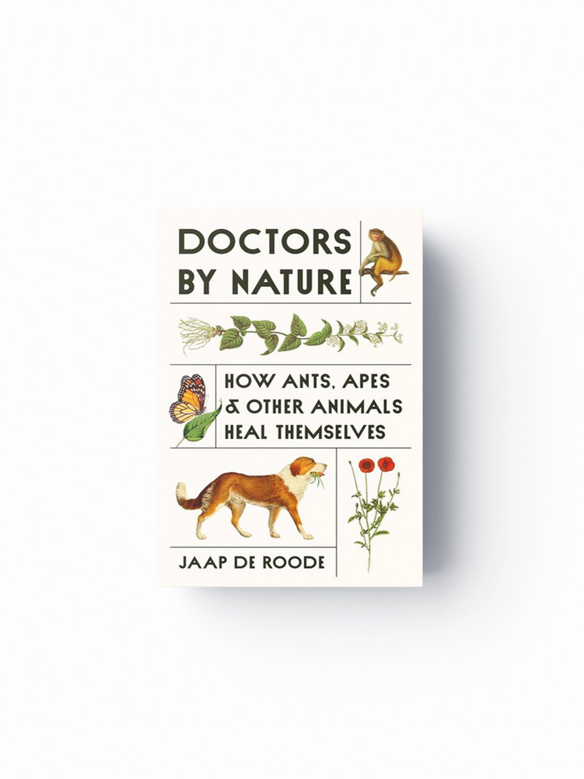 Doctors by Nature by Jaap de Roode; 9780691239248