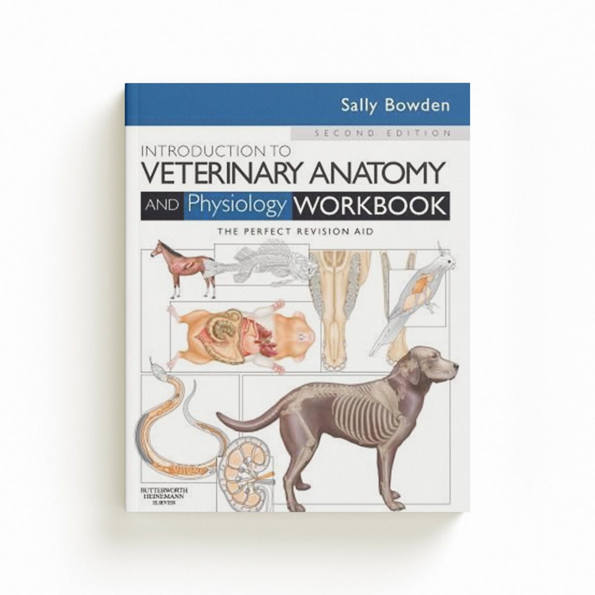 Introduction to Veterinary Anatomy and Physiology Workbook by Sally J., VN  Bowden; 9780702052323