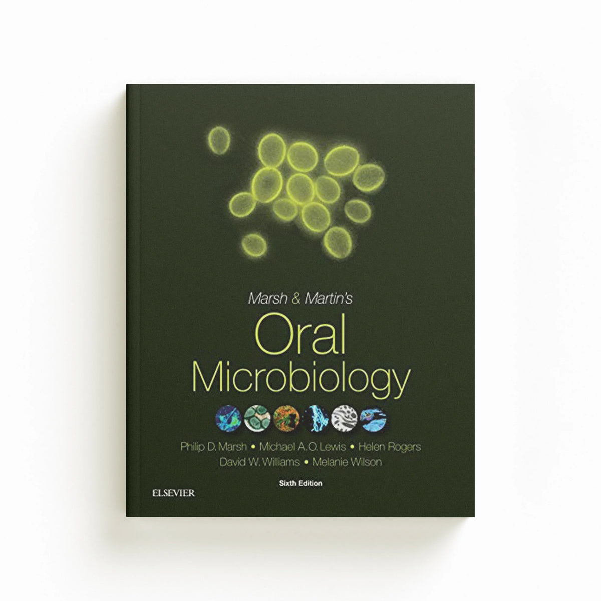 Oral Microbiology by David  Williams; Philip D.  Marsh; Michael A.O., PhD, BDS, FDSRCPS, FDSRCS , FRCPath, FHEA, FFGDP(UK) (Professor of Oral Medicine and; Melanie  Wilson; Helen  Rogers; 9780702061066