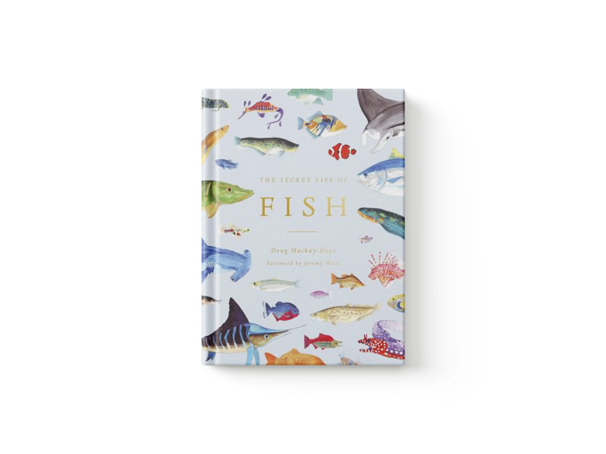 The Secret Life of Fish by Doug Mackay-Hope; 9780711260993