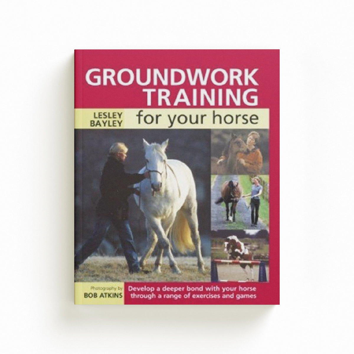 Groundwork Training for Your Horse by Lesley  Bayley; 9780715324417