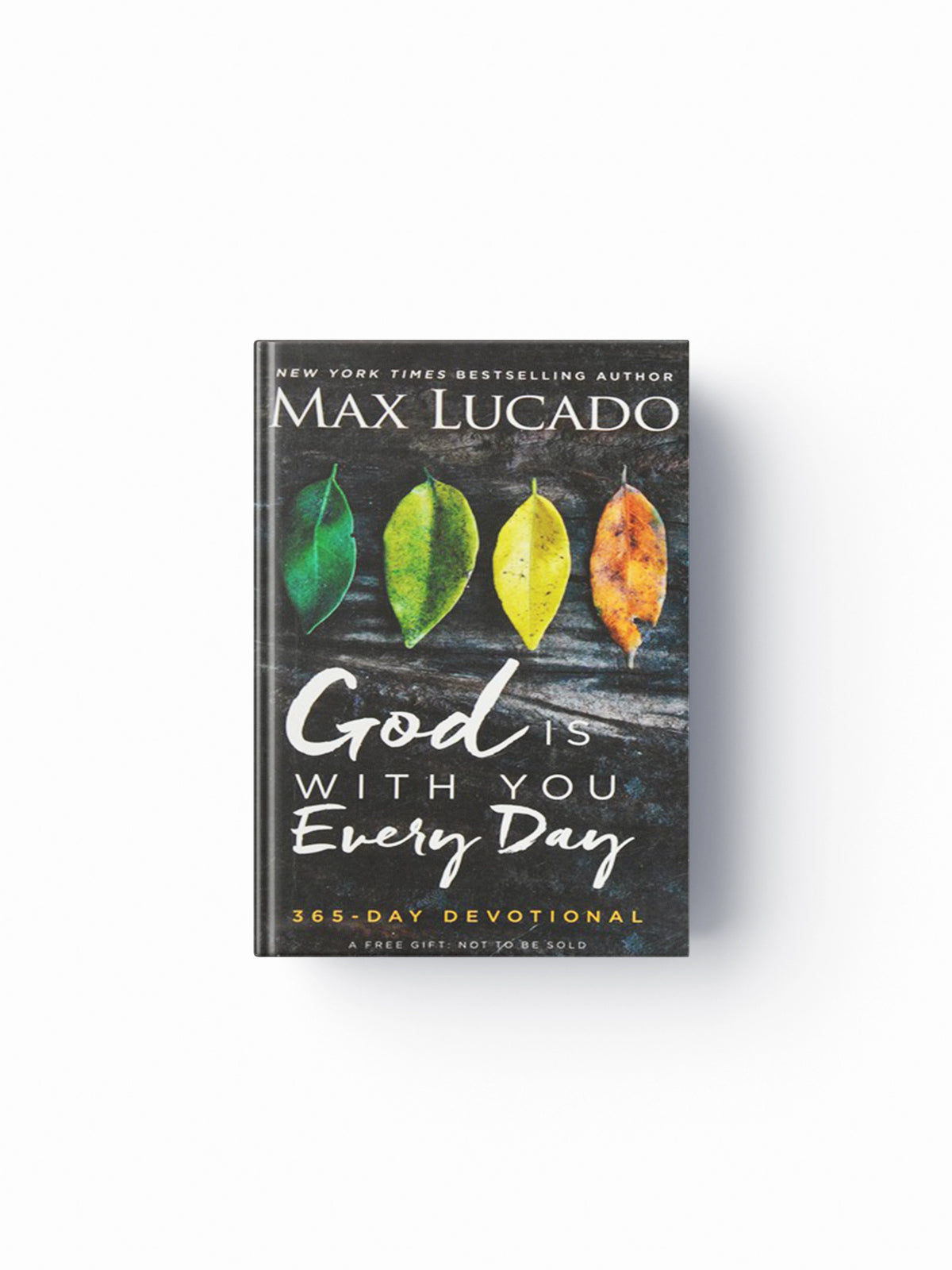 God Is With You Every Day by Max Lucado; 9780718034634