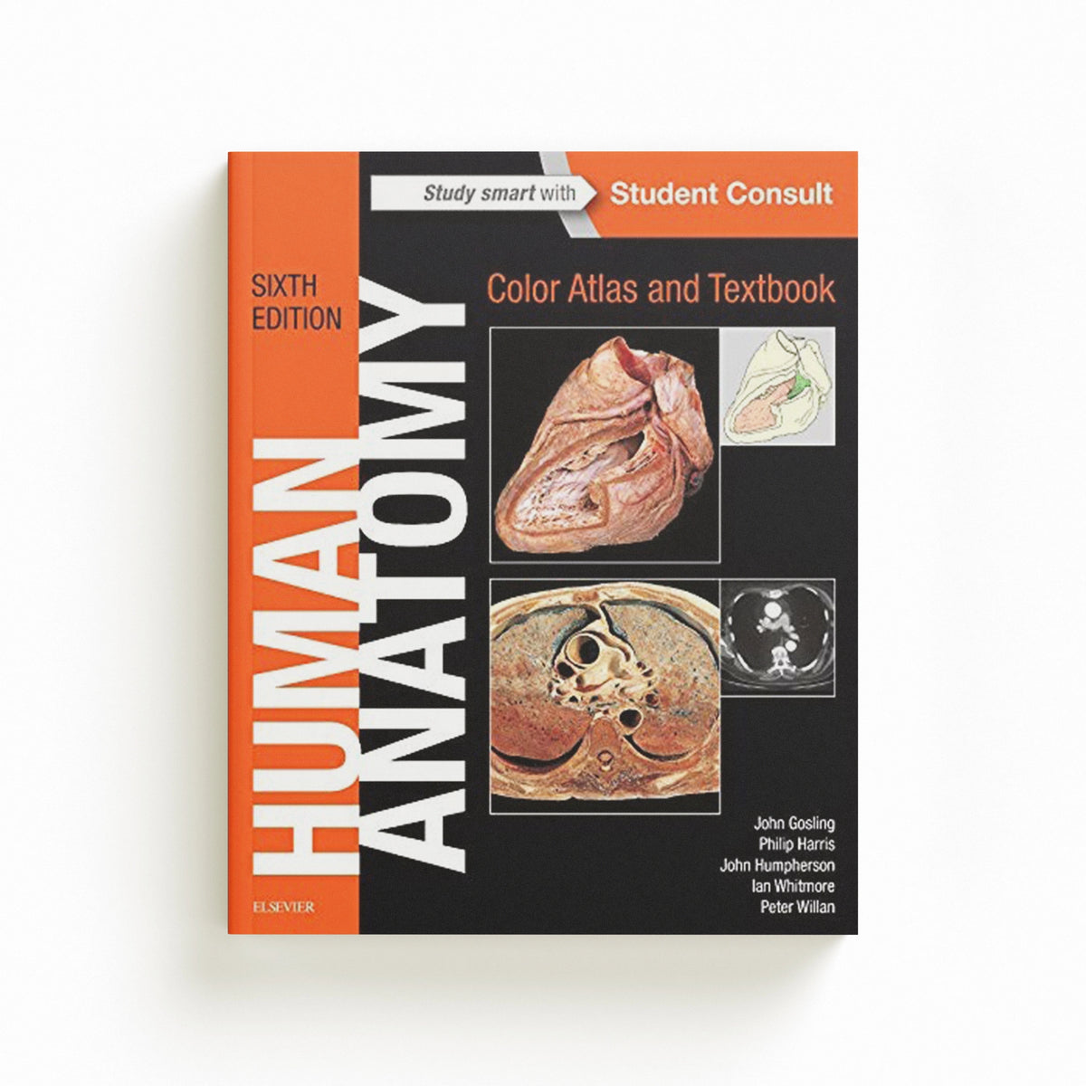 Human Anatomy, Color Atlas and Textbook by Ian, MD MB BS LRCP MRCS  Whitmore; Philip F., MD MB ChB MSc  Harris; Peter L. T., MB, ChB, FRCS  Willan; John R.  Humpherson; John A.  Gosling; 9780723438274