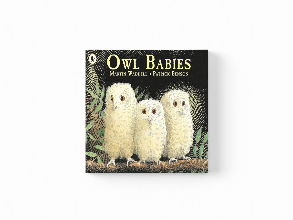 Owl Babies by Martin Waddell; 9780744531671
