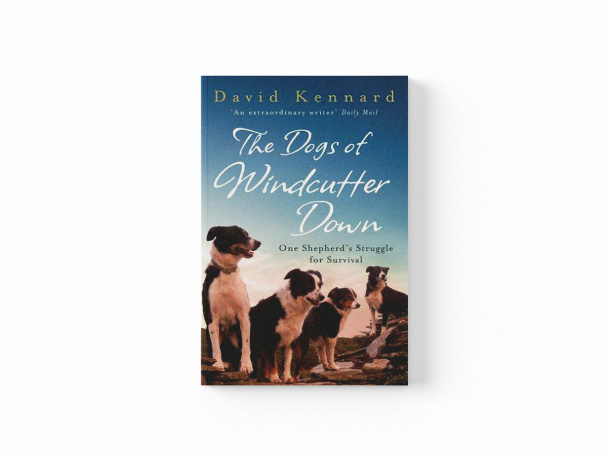 The Dogs of Windcutter Down by David Kennard; 9780755312573