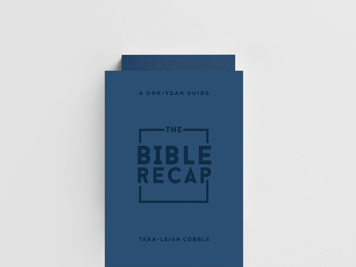 The Bible Recap – A One–Year Guide to Reading and Understanding the Entire Bible, Personal Size Imitation Leather by Tara–leigh Cobble; 9780764241918