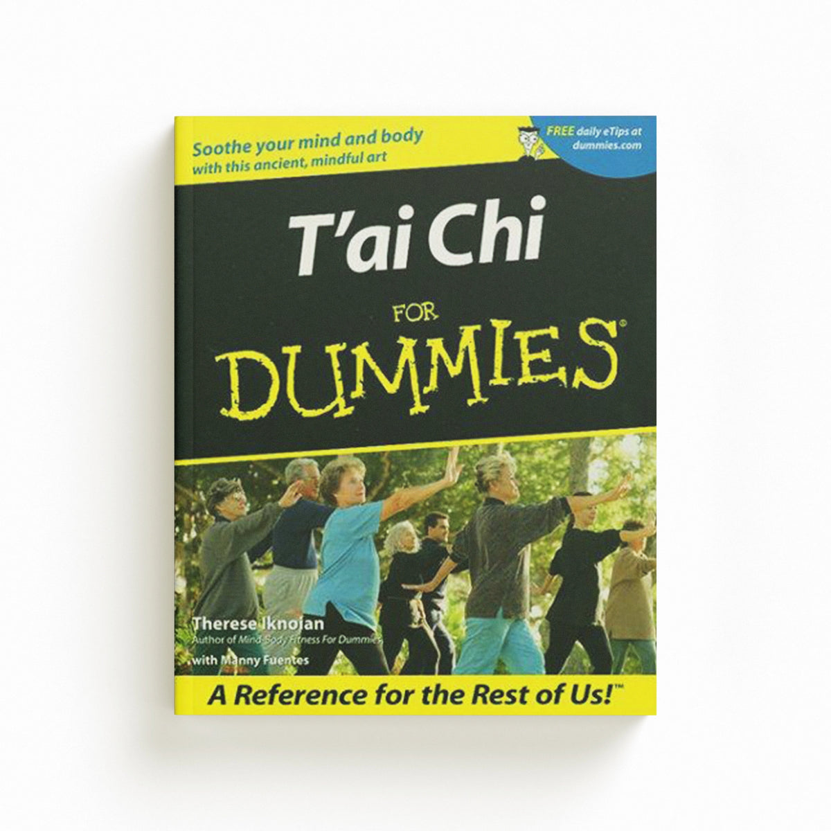 T'ai Chi For Dummies by Therese Iknoian; 9780764553516