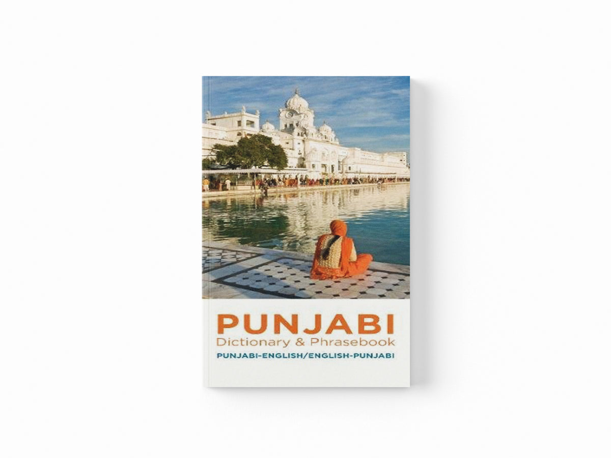 Punjabi-English/English-Punjabi Dictionary & Phrasebook; 9780781813006