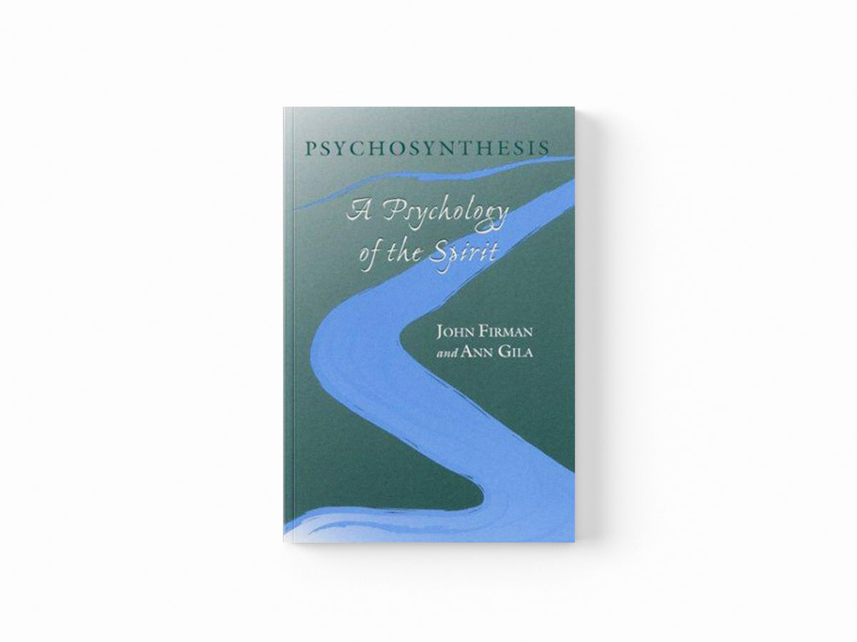 Psychosynthesis by Ann Gila; John Firman; 9780791455340
