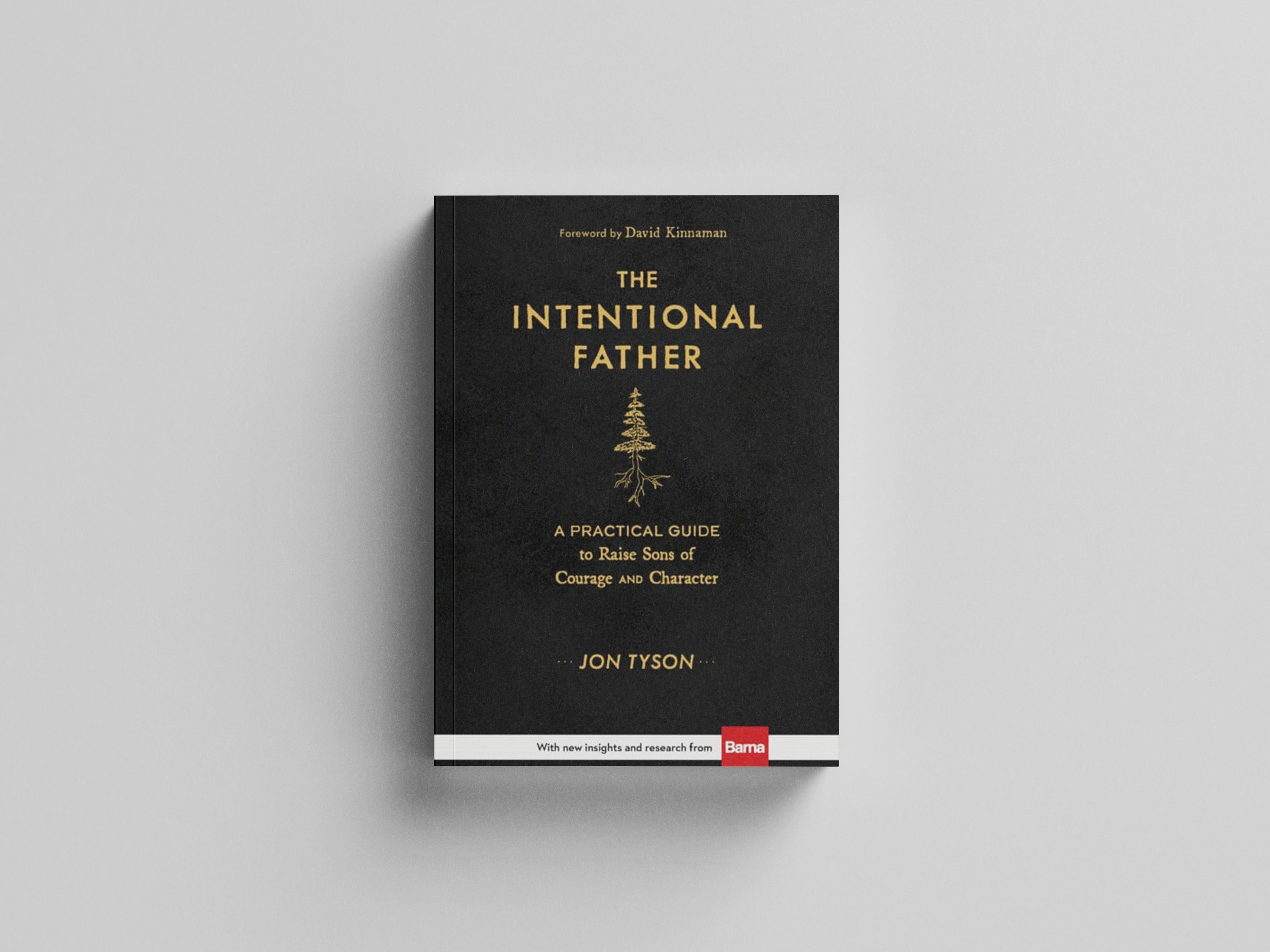 The Intentional Father – A Practical Guide to Raise Sons of Courage and Character by Jon Tyson; 9780801018688