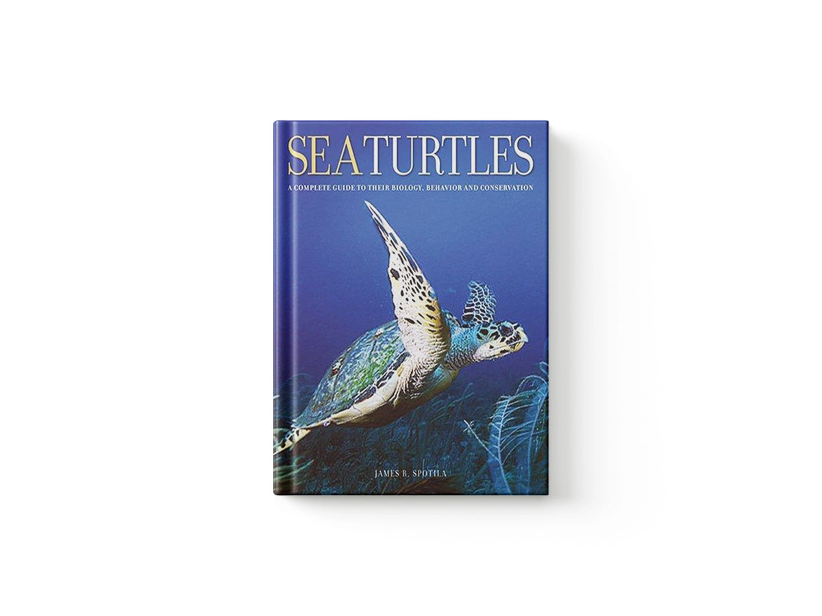 Sea Turtles by James R.  Spotila; 9780801880070