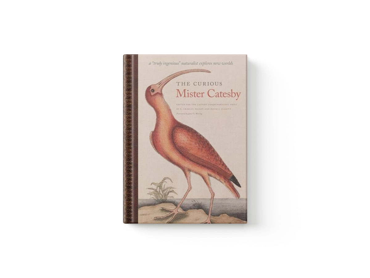 The Curious Mister Catesby; 9780820347264