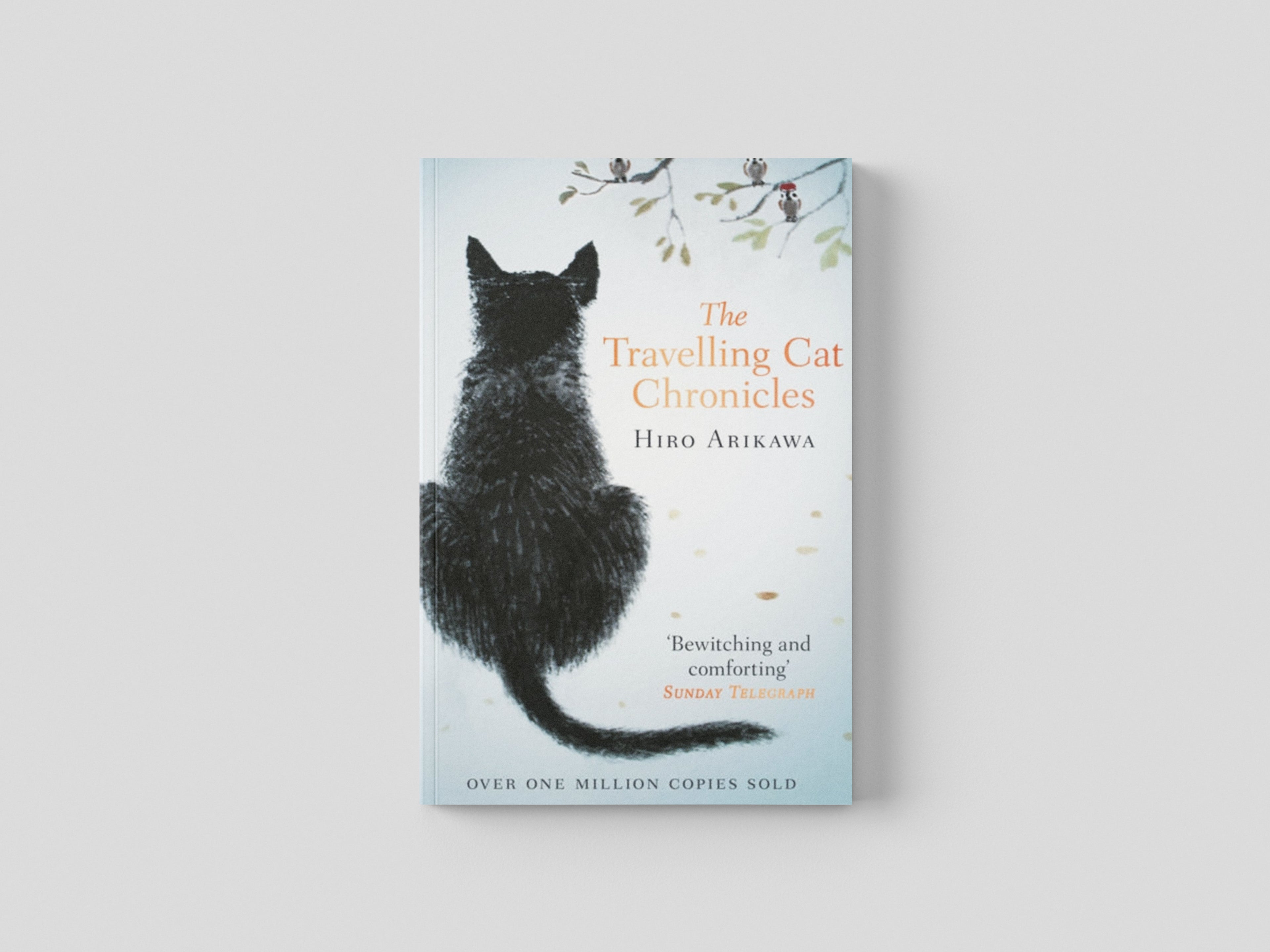 The Travelling Cat Chronicles by Hiro Arikawa; 9780857524195