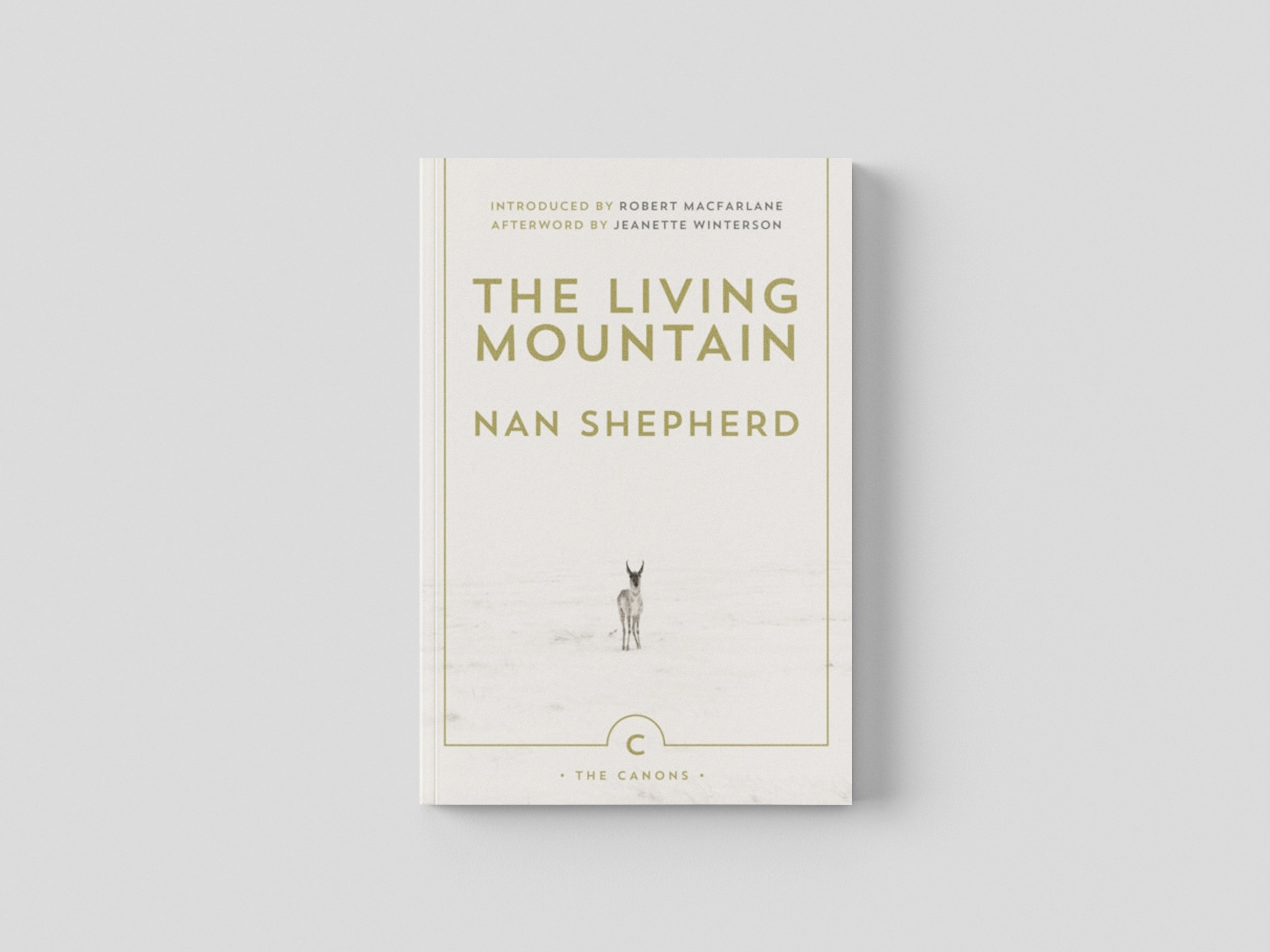 The Living Mountain by Nan Shepherd; 9780857861832