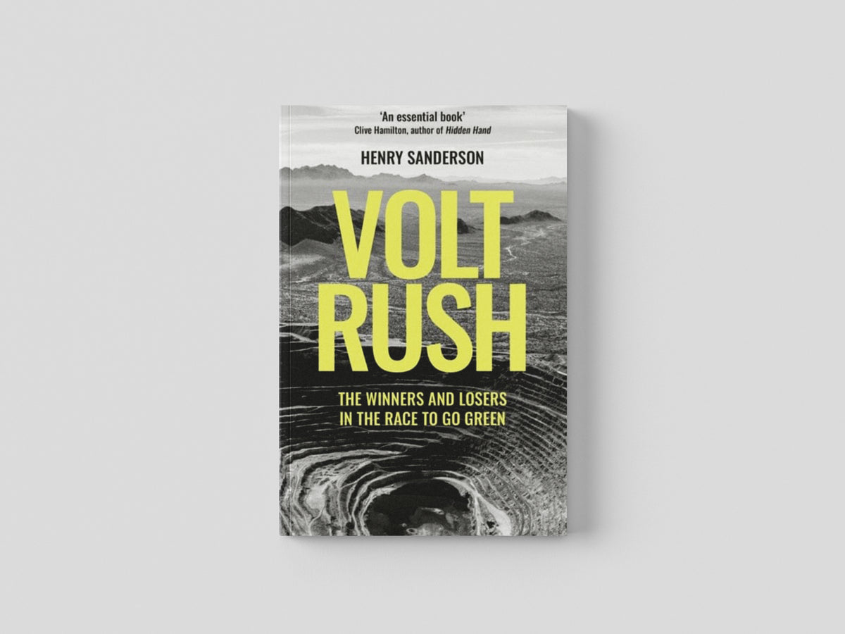 Volt Rush by Oneworld Publications; 9780861543755