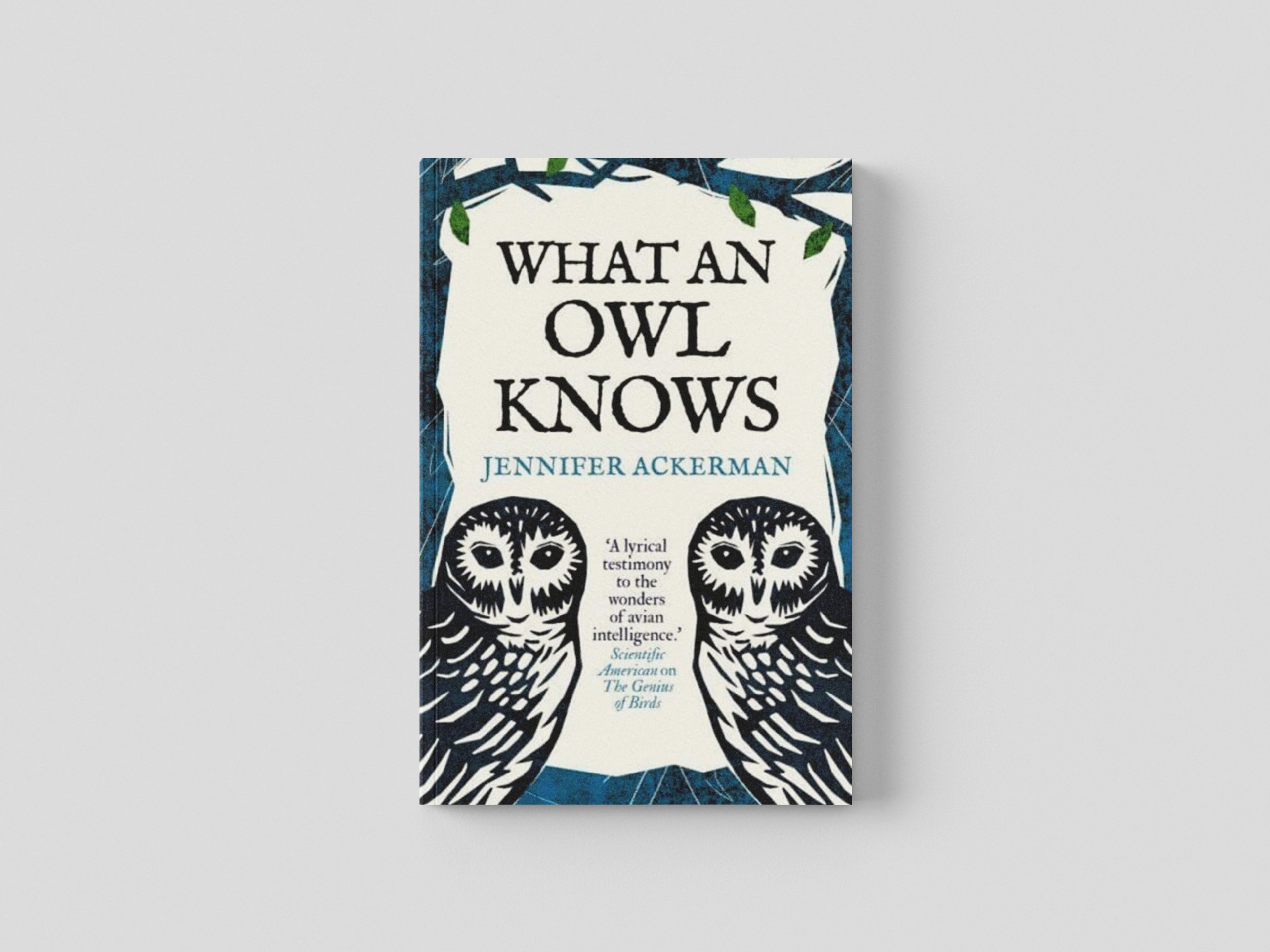 What an Owl Knows : The New Science of the World's Most Enigmatic Birds by Jennifer Ackerman; 9780861546909