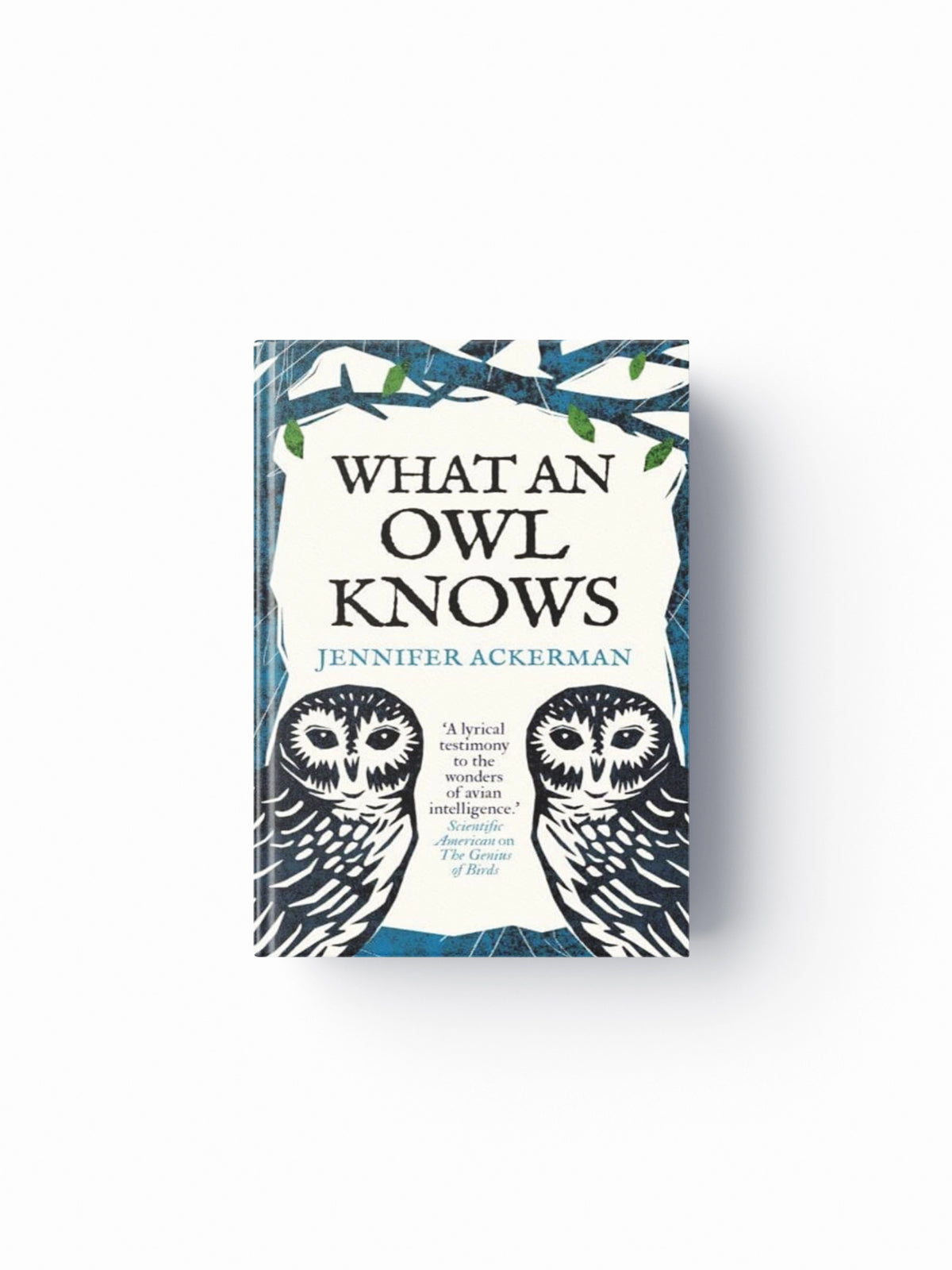 What an Owl Knows : The New Science of the World's Most Enigmatic Birds