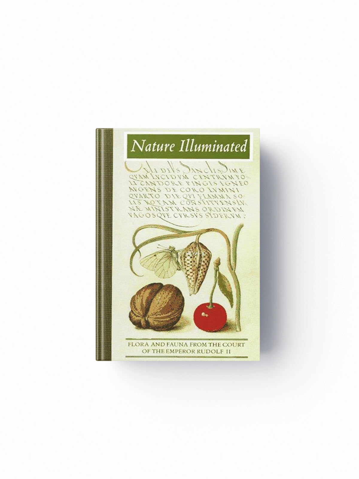 Nature Illuminated by Lee Hendrix; 9780892364725