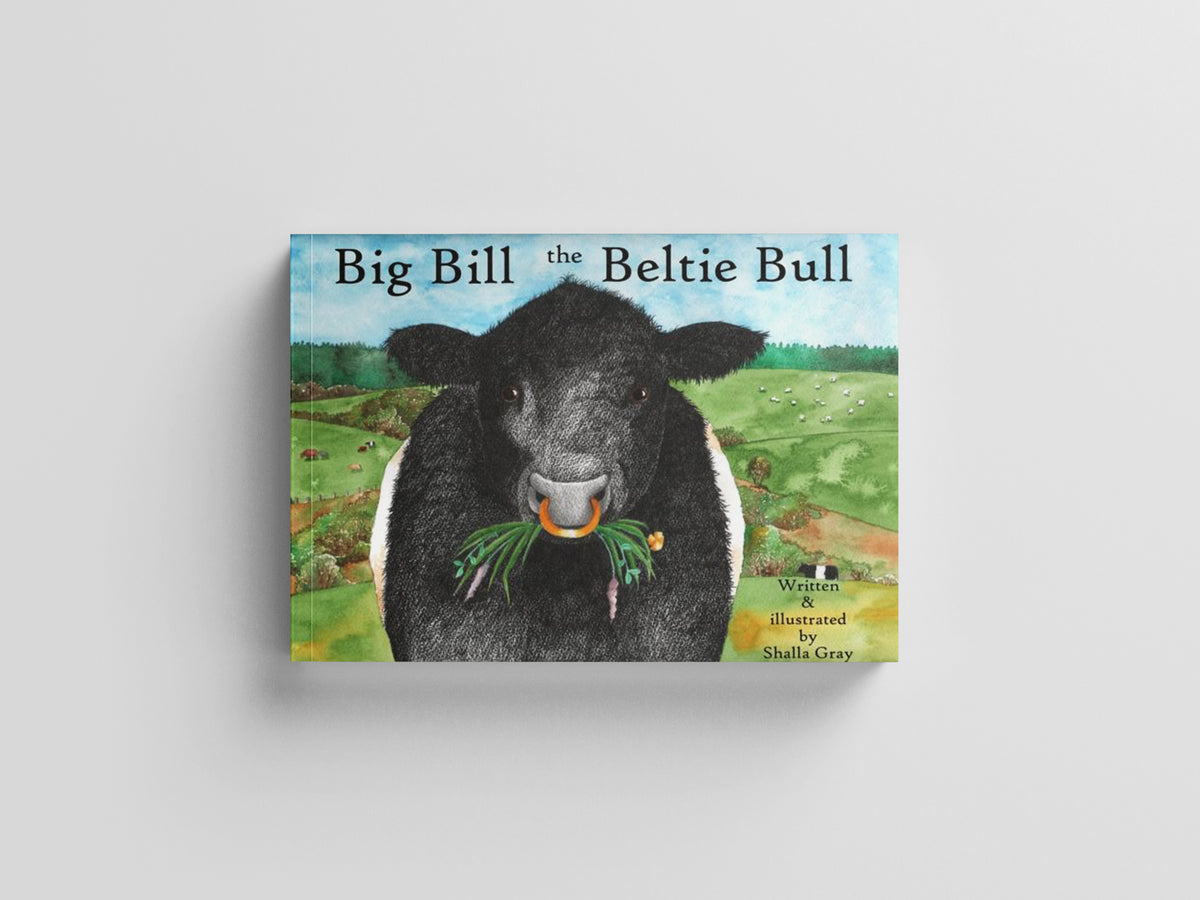Big Bill the Beltie Bull by Curly Tale Books; 9780957640283