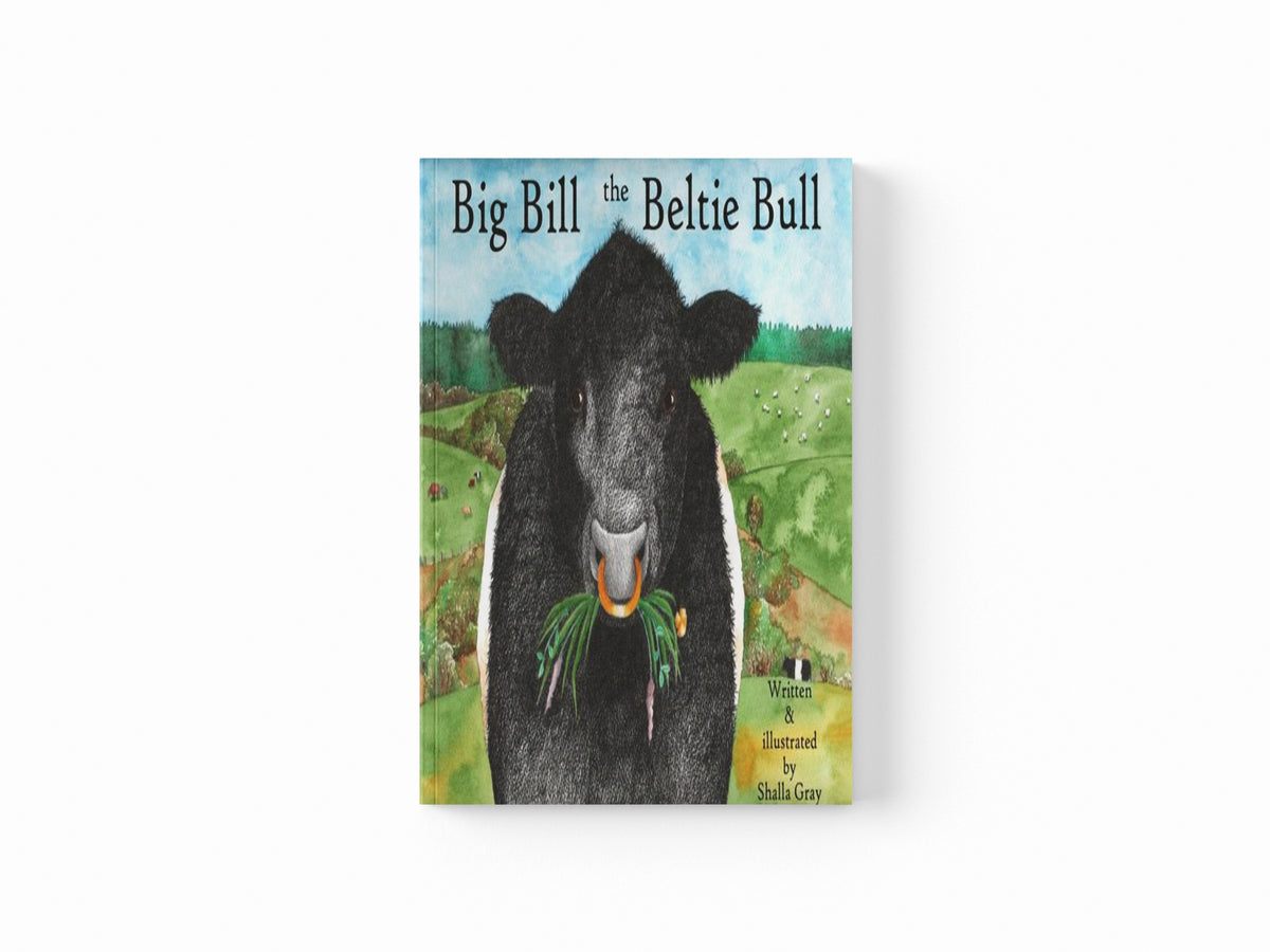 Big Bill the Beltie Bull